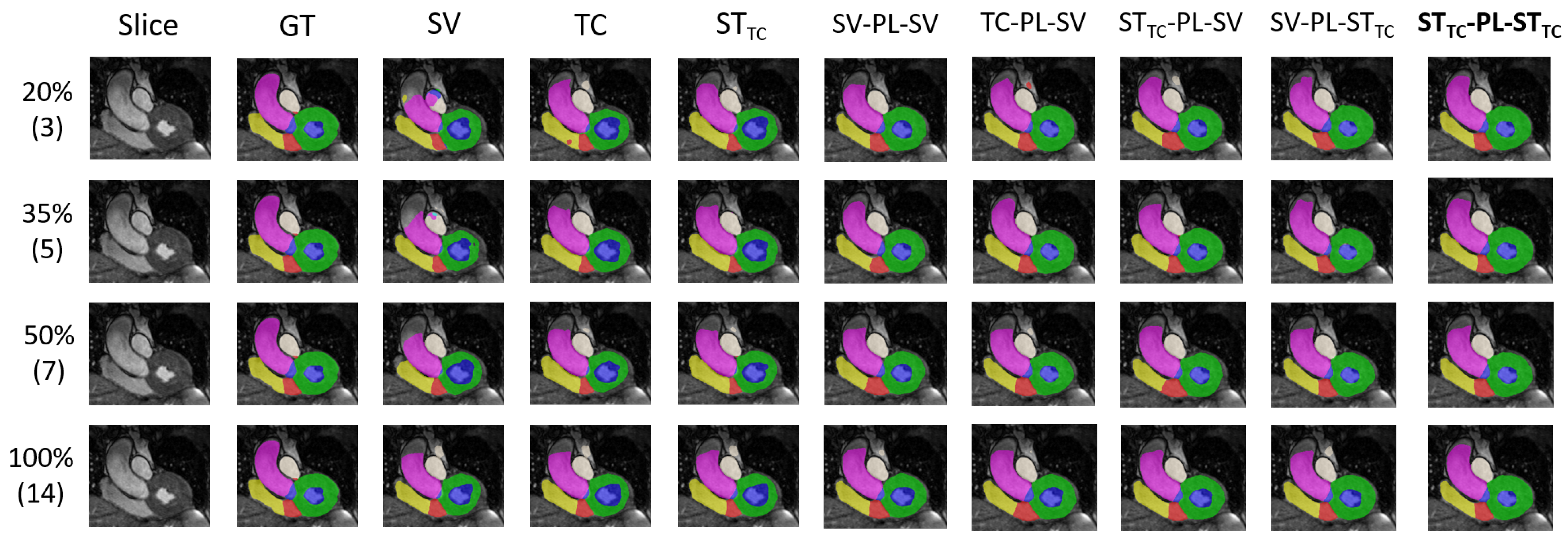 Bioengineering 12 00872 g007 Bioengineering 12 00872 g007