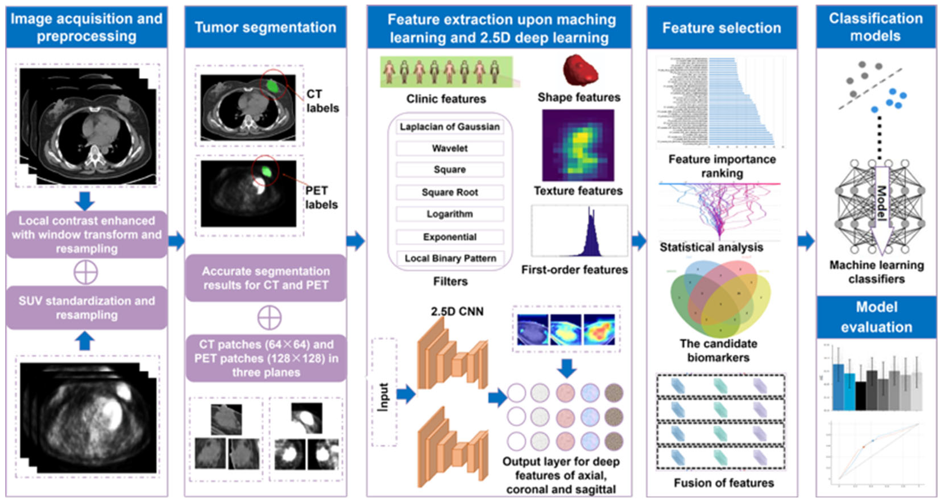 Bioengineering 12 00873 g001 Bioengineering 12 00873 g001