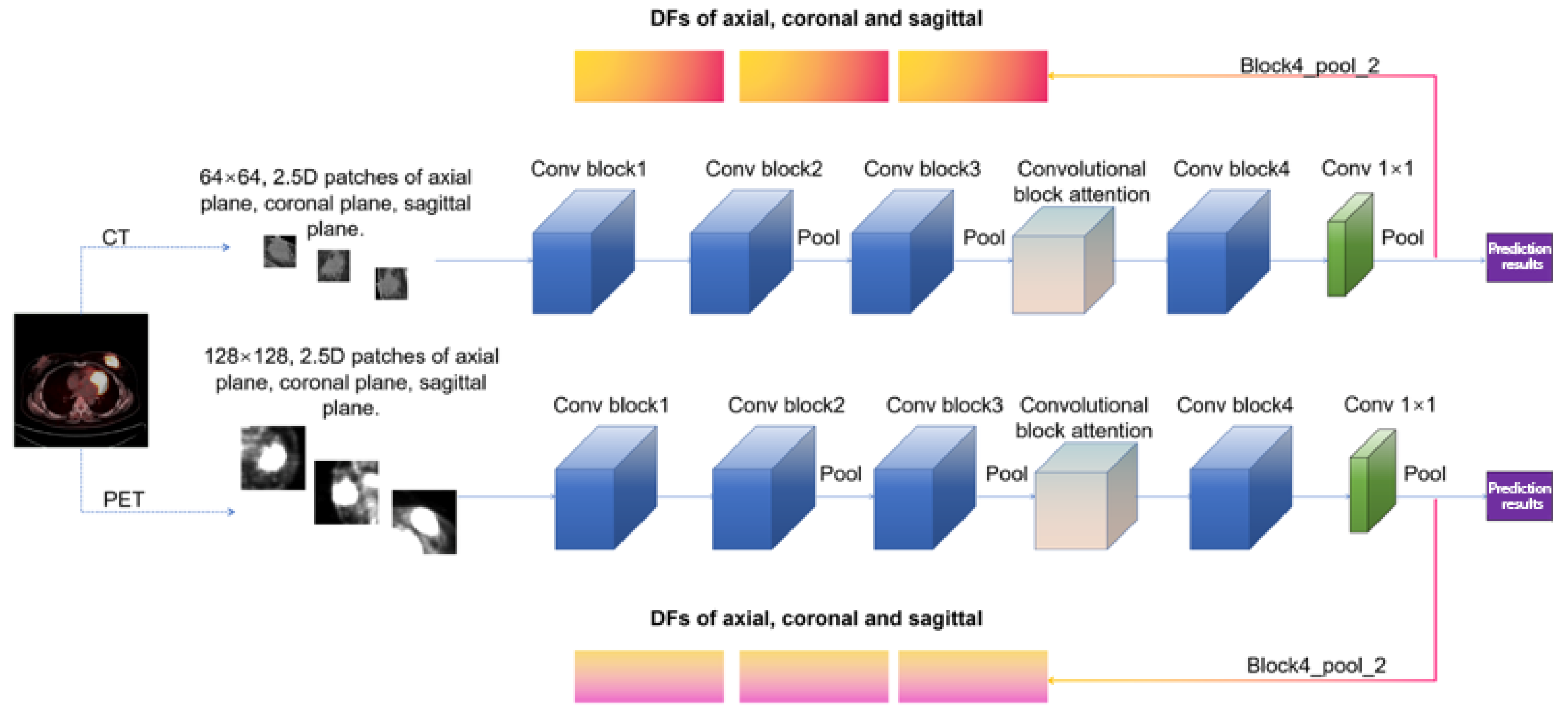 Bioengineering 12 00873 g003 Bioengineering 12 00873 g003