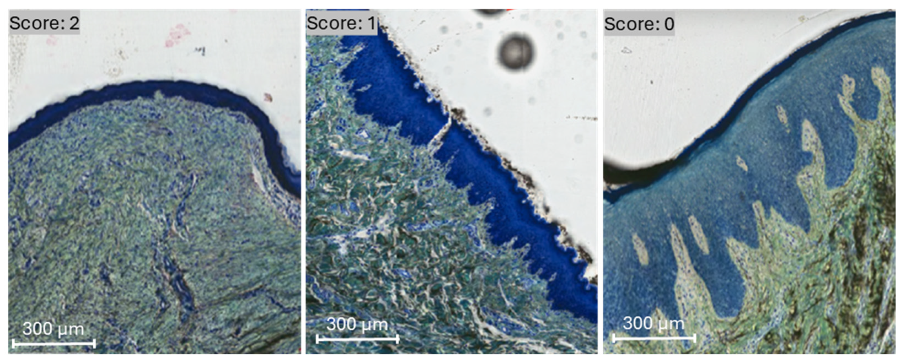 Bioengineering 12 00875 g001