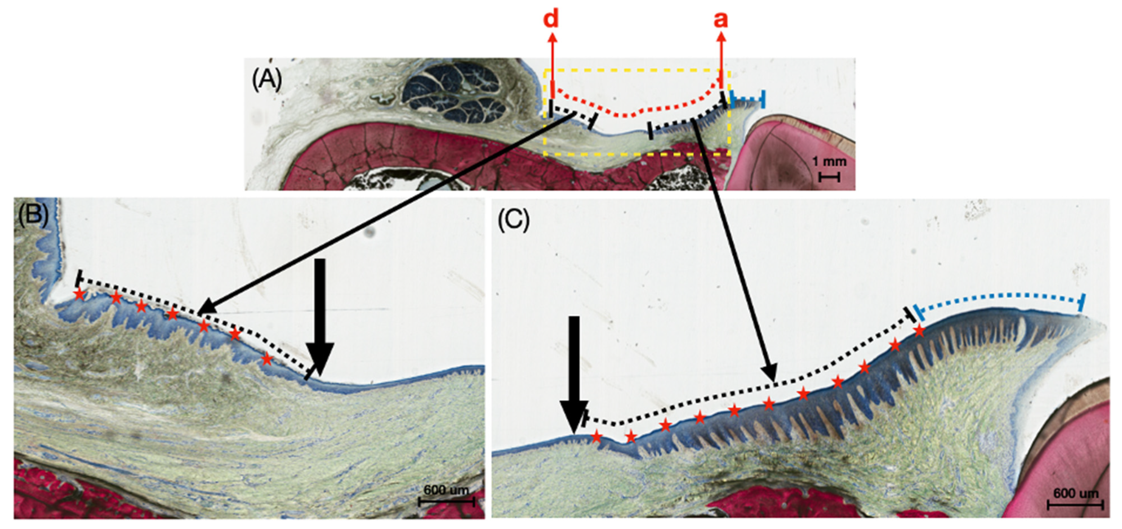 Bioengineering 12 00875 g002