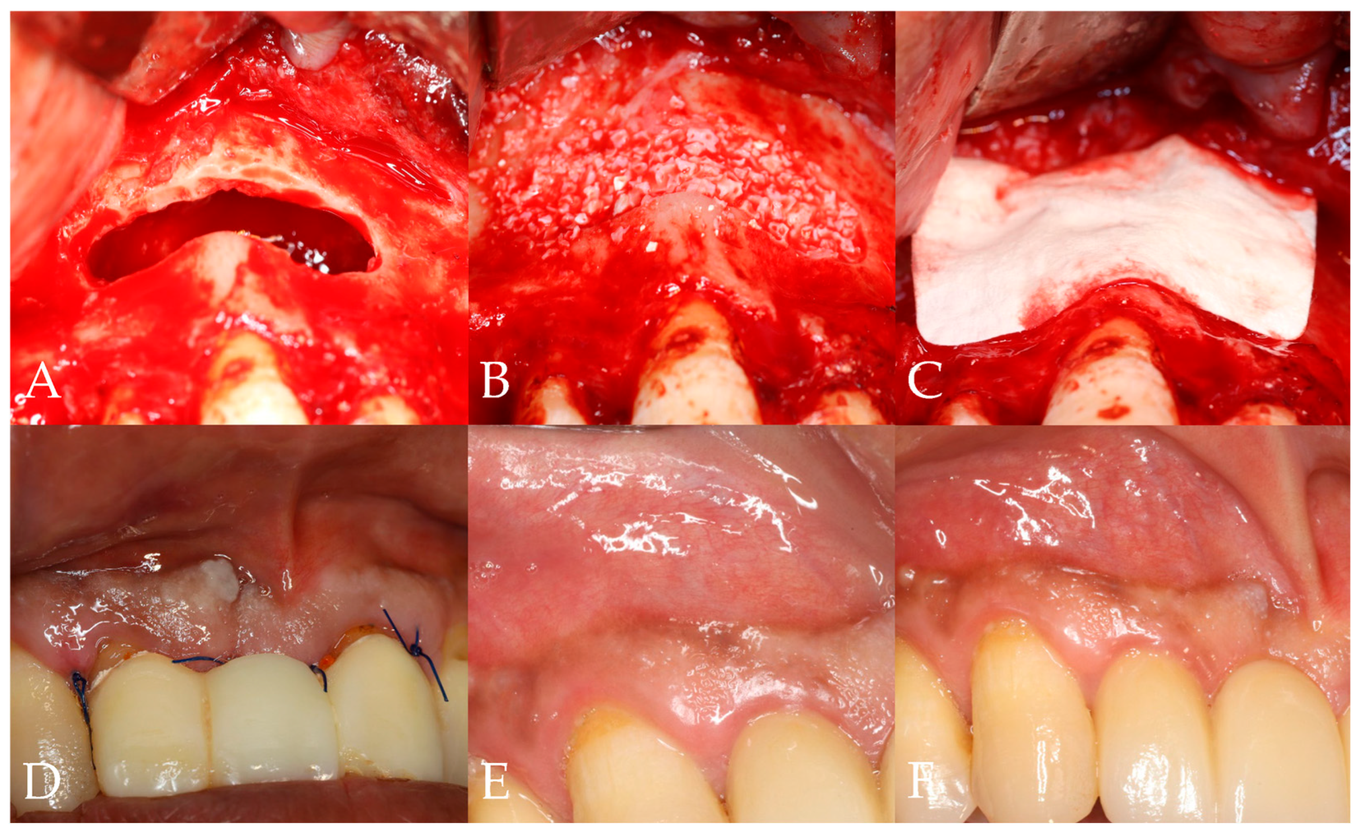 Bioengineering 12 00876 g002