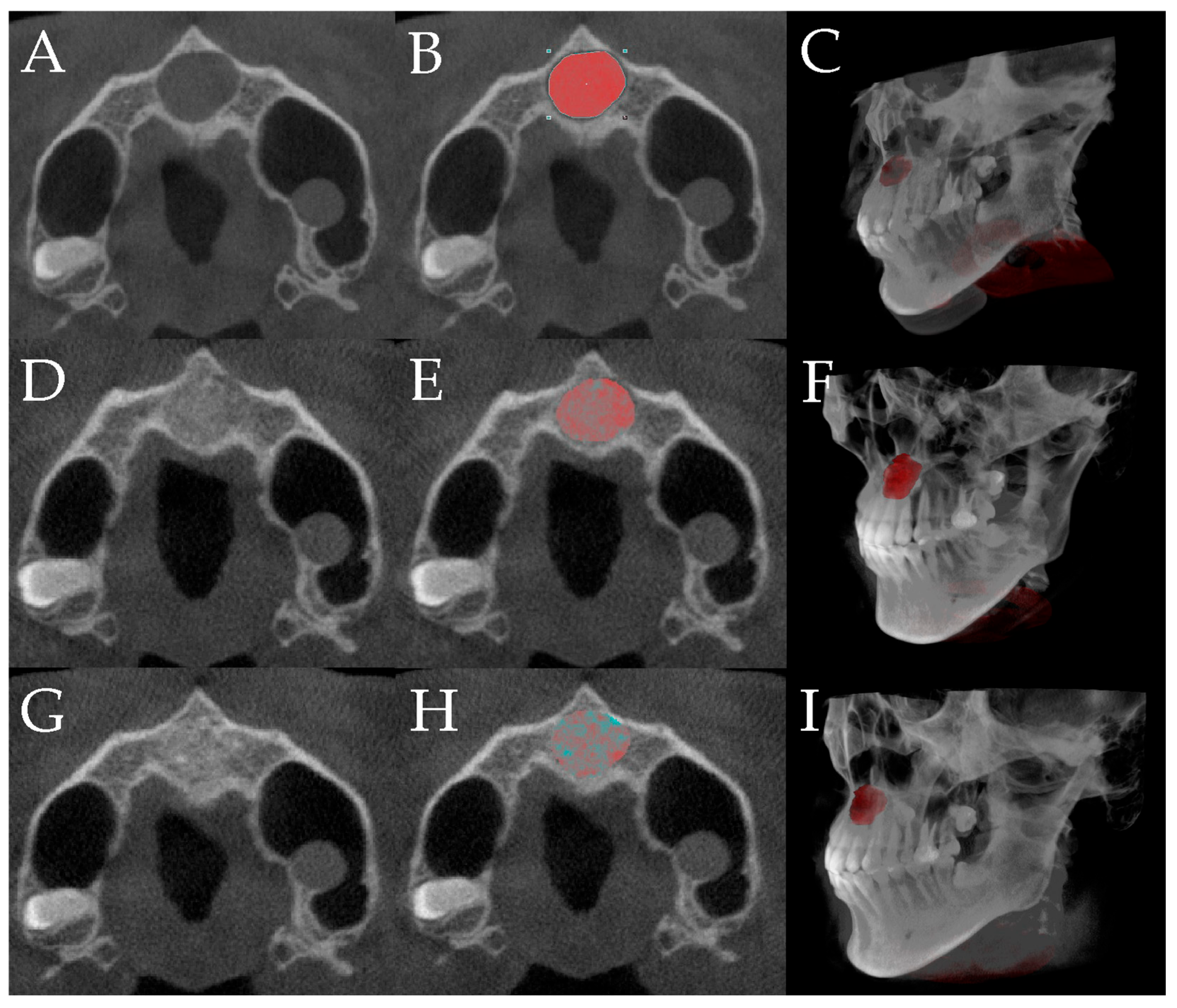 Bioengineering 12 00876 g003