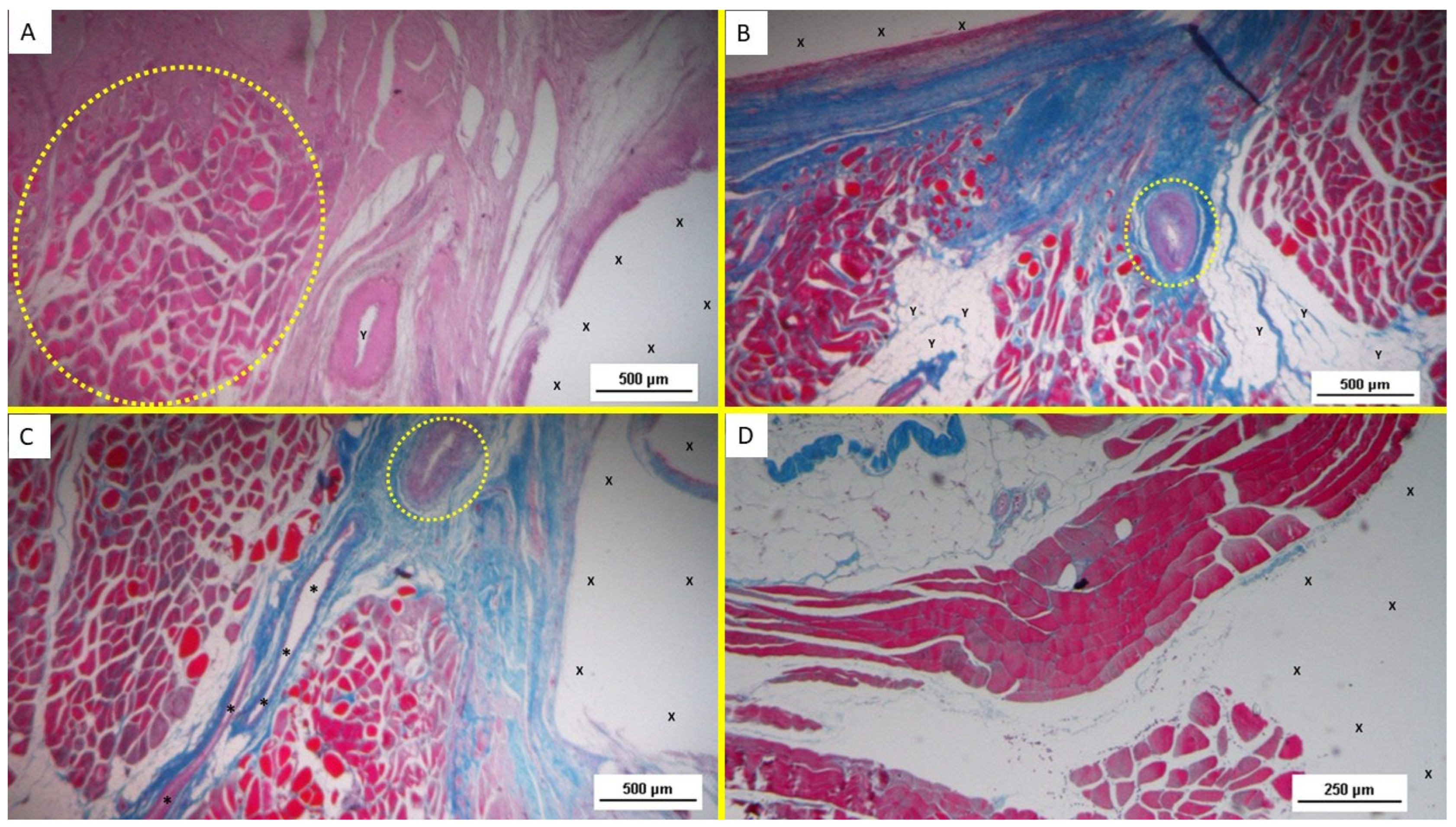 Bioengineering 12 00883 g005