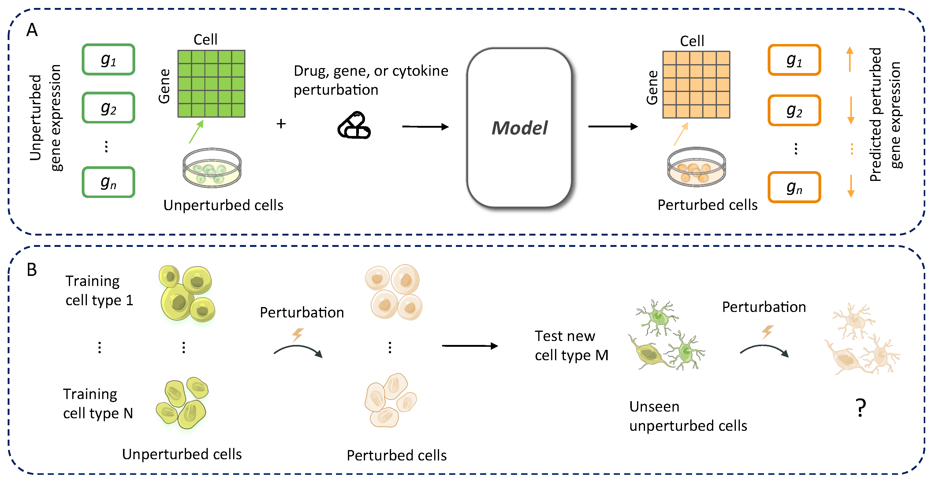 Bioengineering 12 00884 g001