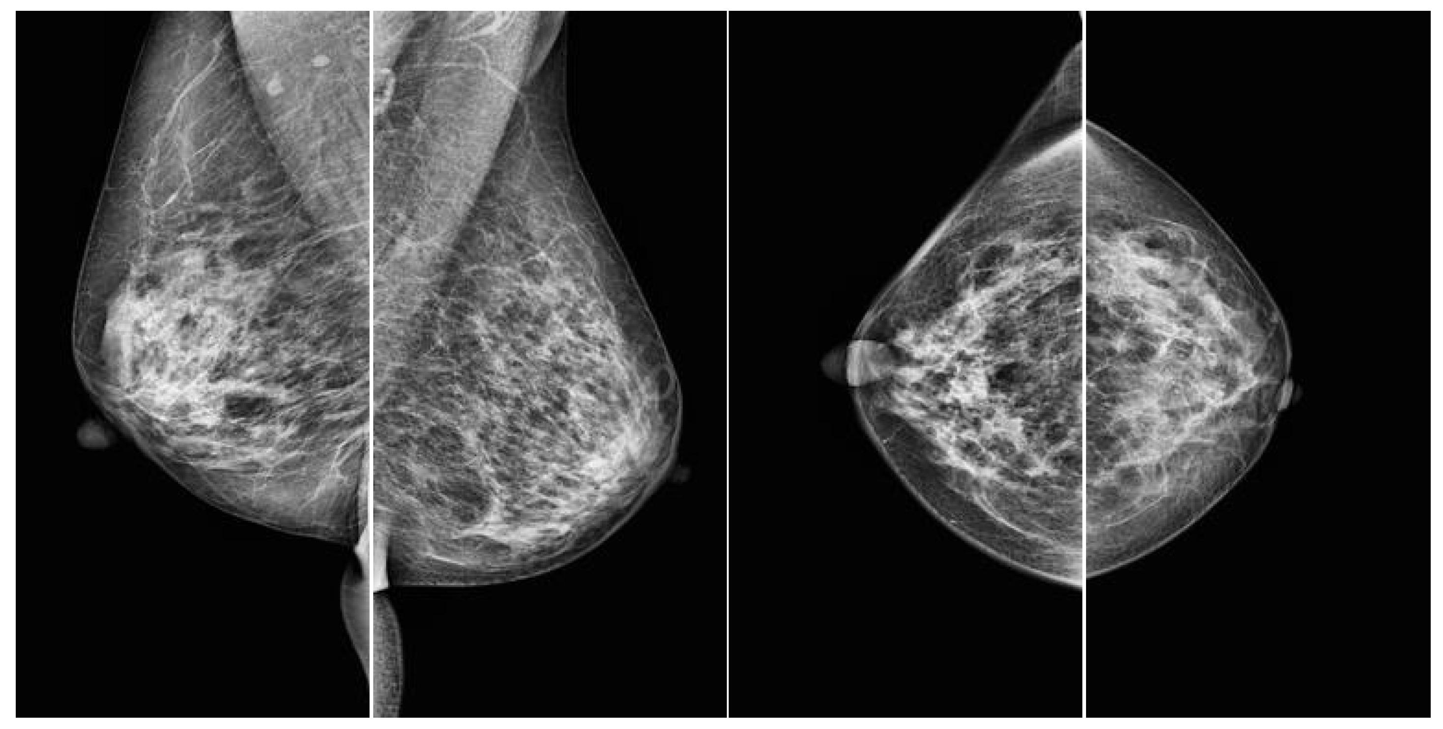 Bioengineering 12 00885 g001