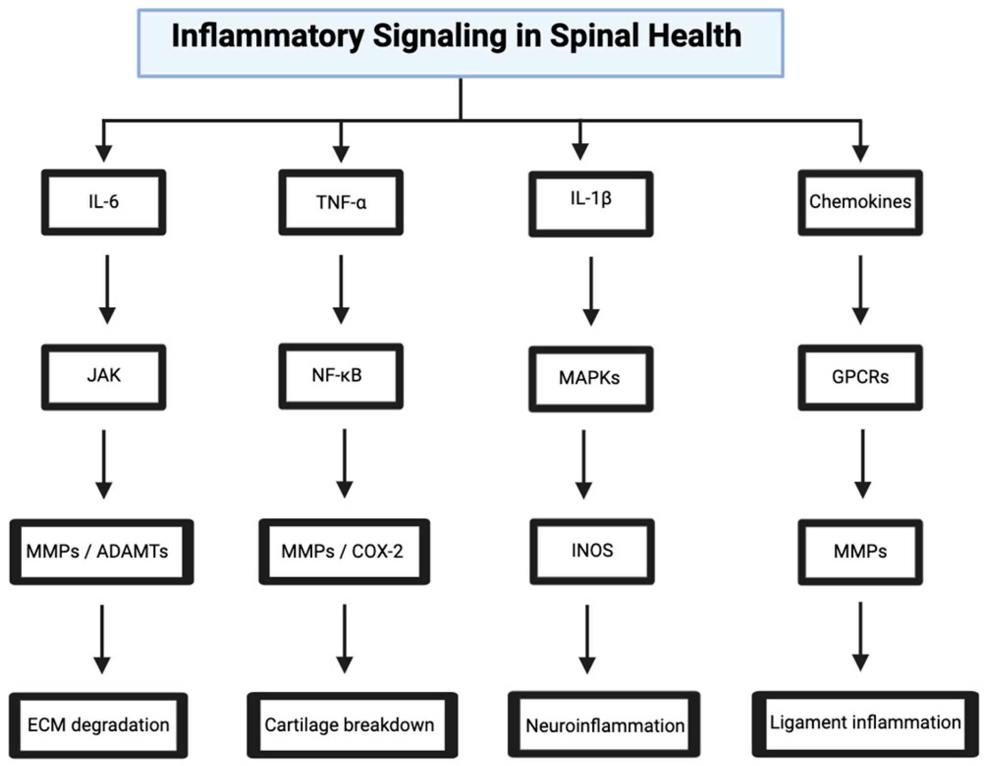 Bioengineering 12 00886 g003