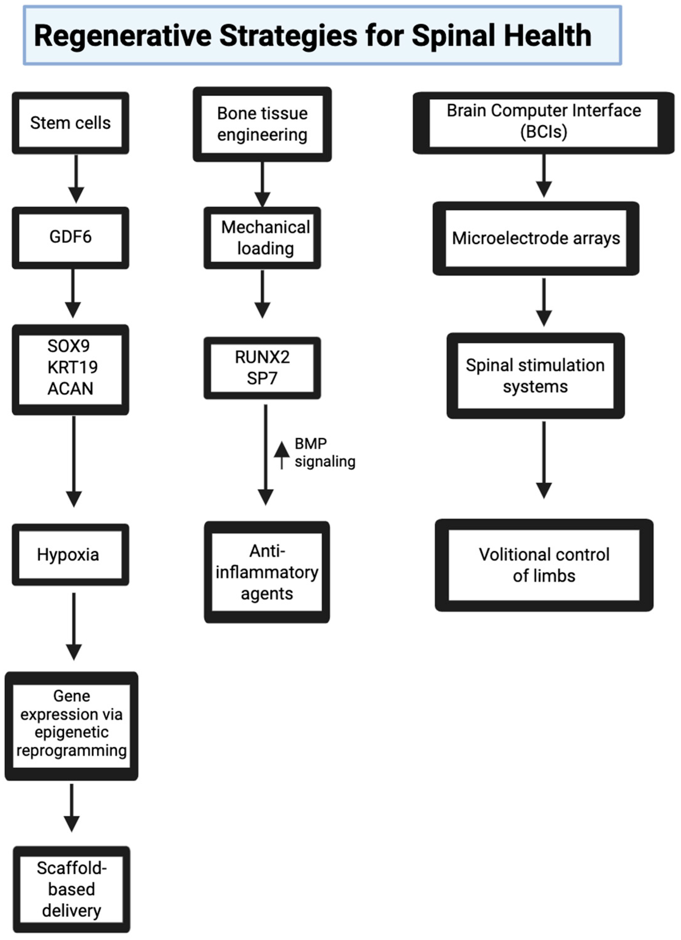 Bioengineering 12 00886 g005