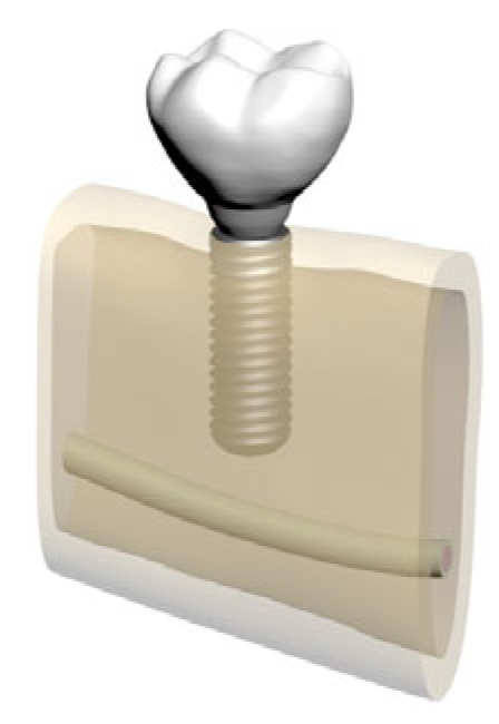 Bioengineering 12 00888 g003