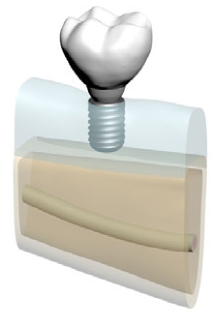 Bioengineering 12 00888 g004