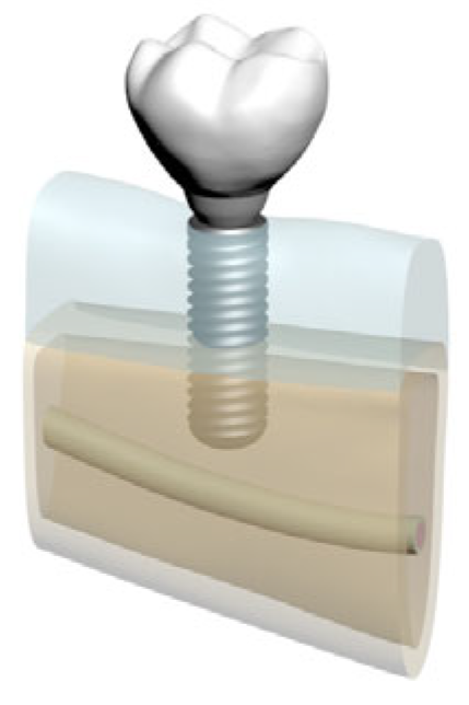 Bioengineering 12 00888 g005