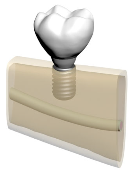 Bioengineering 12 00888 g006