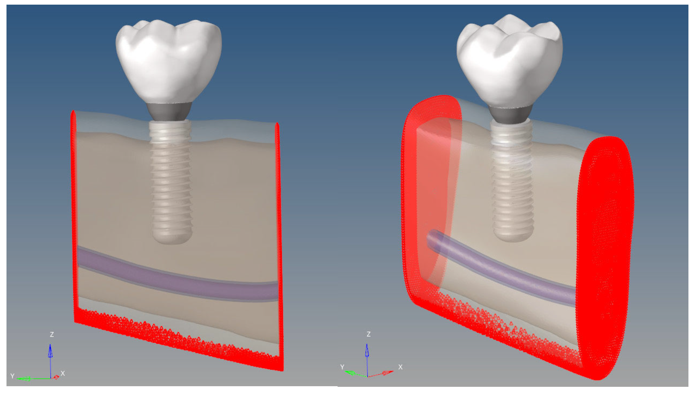 Bioengineering 12 00888 g009