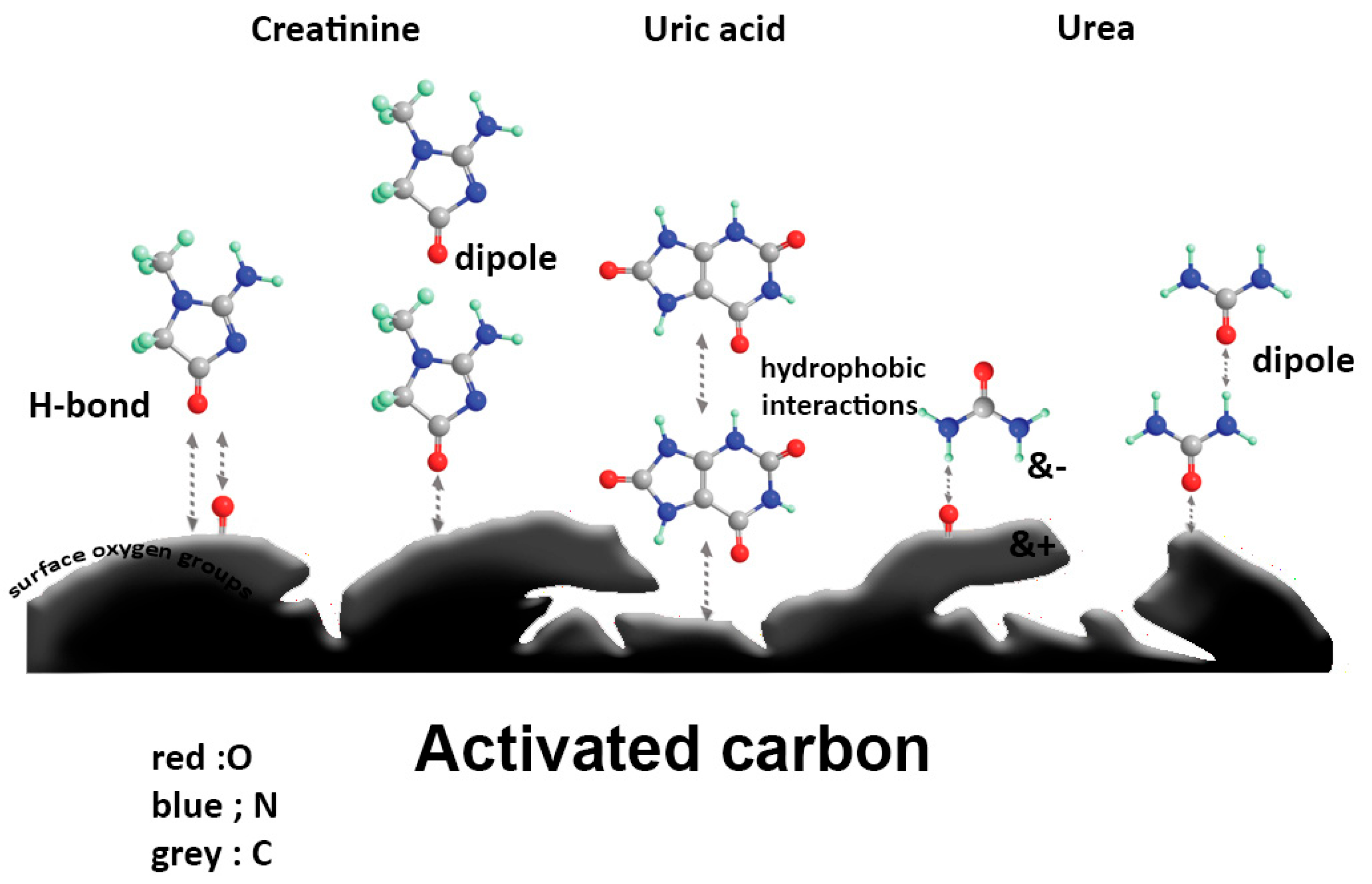 Bioengineering 12 00893 g002