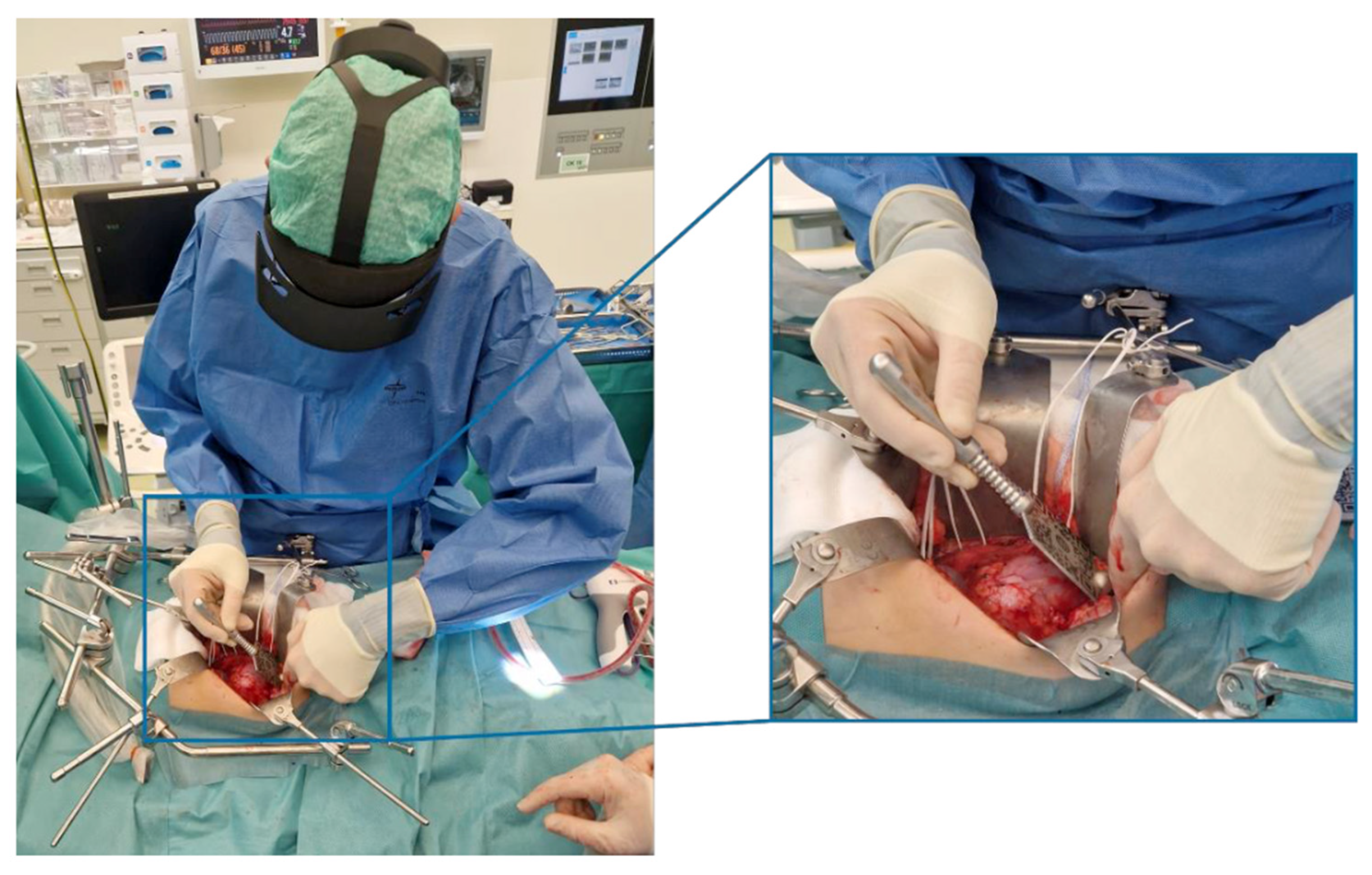 Bioengineering 12 00896 g001