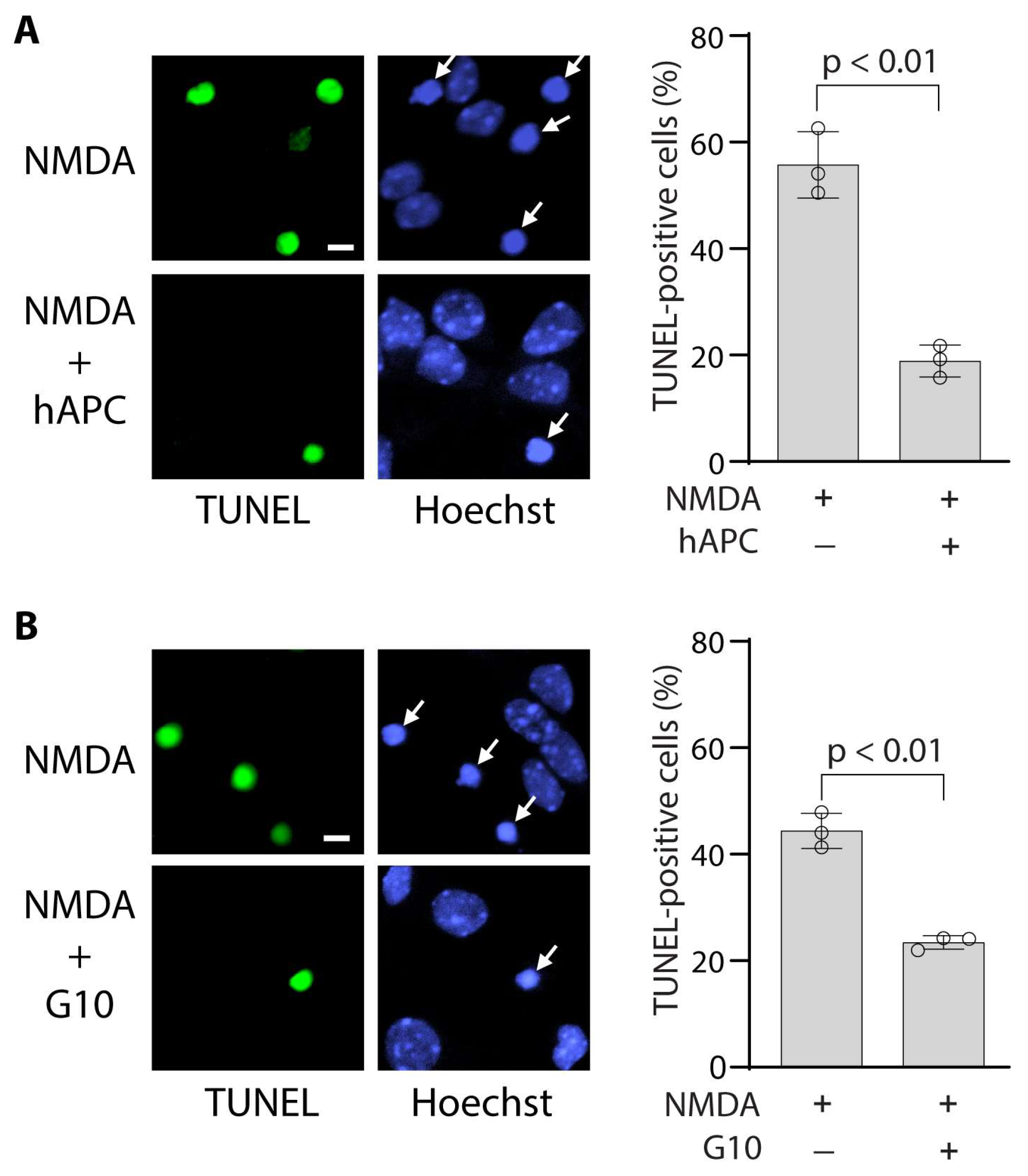 Bioengineering 12 00899 g002