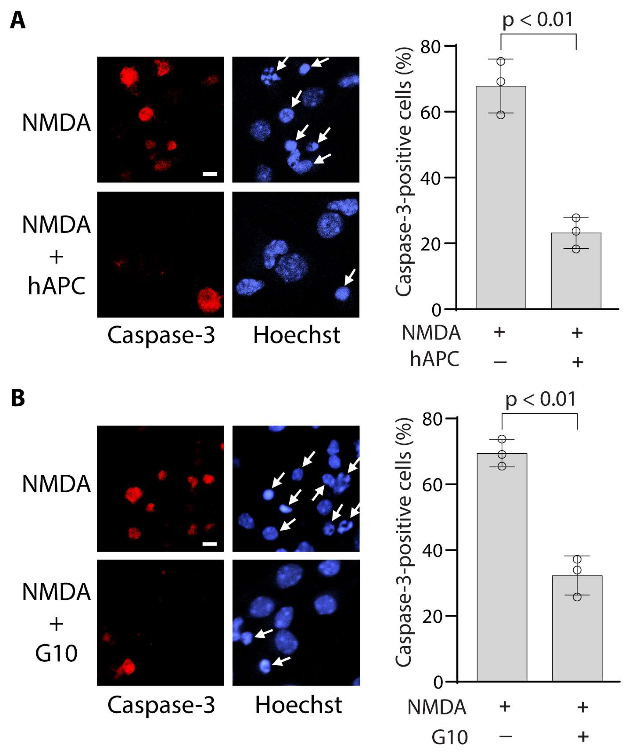 Bioengineering 12 00899 g003