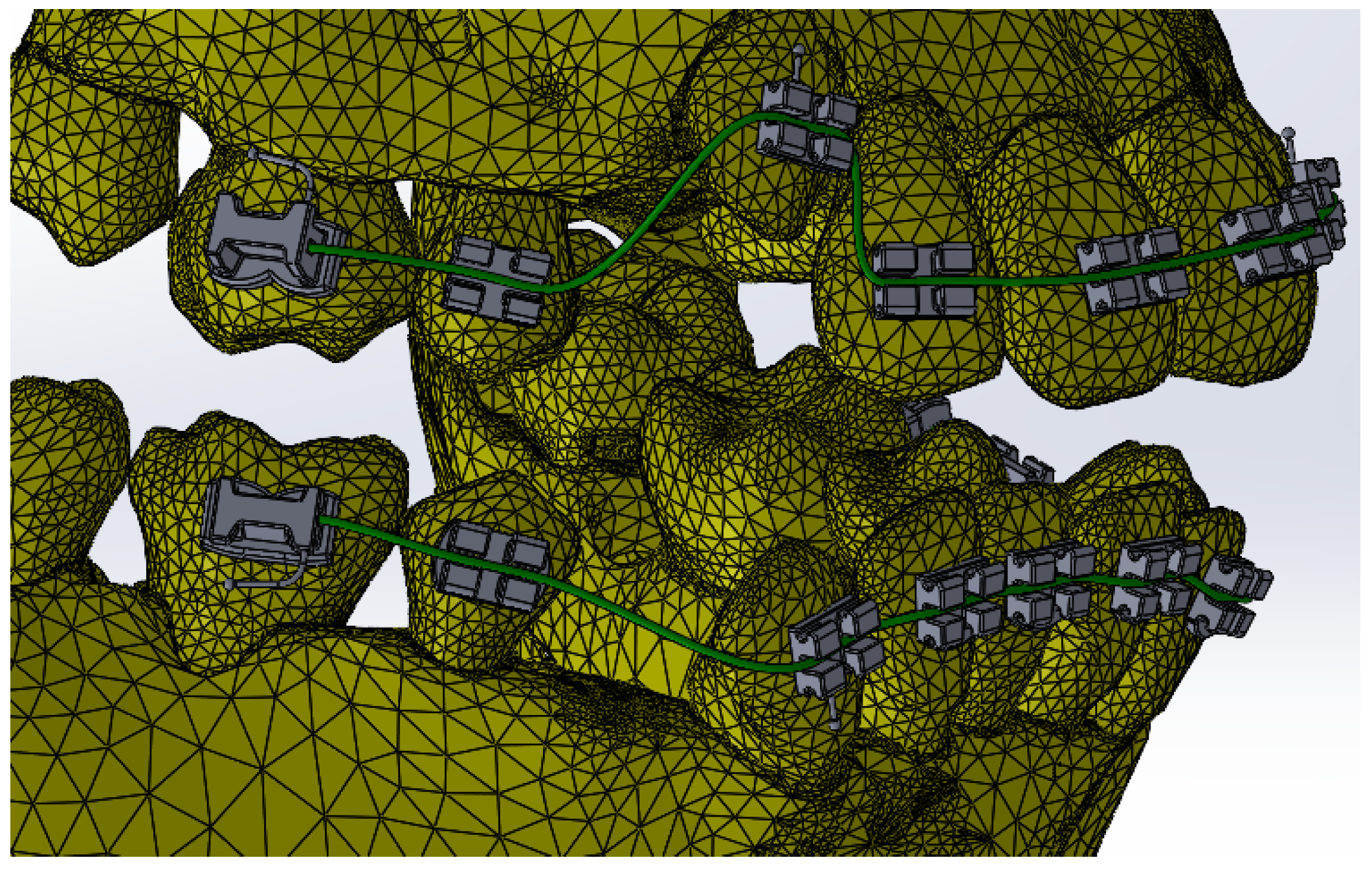 Bioengineering 12 00901 g001