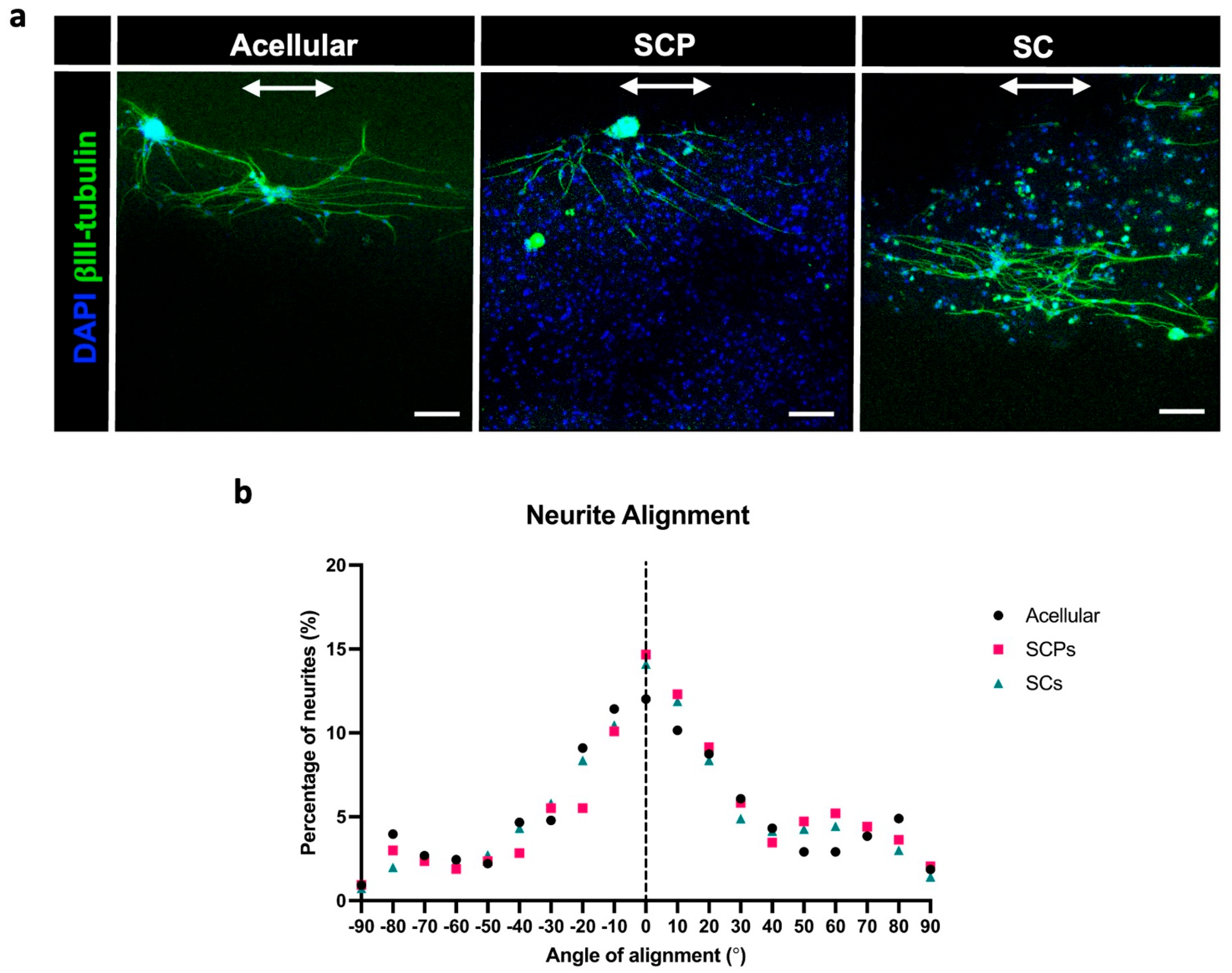 Bioengineering 12 00904 g004