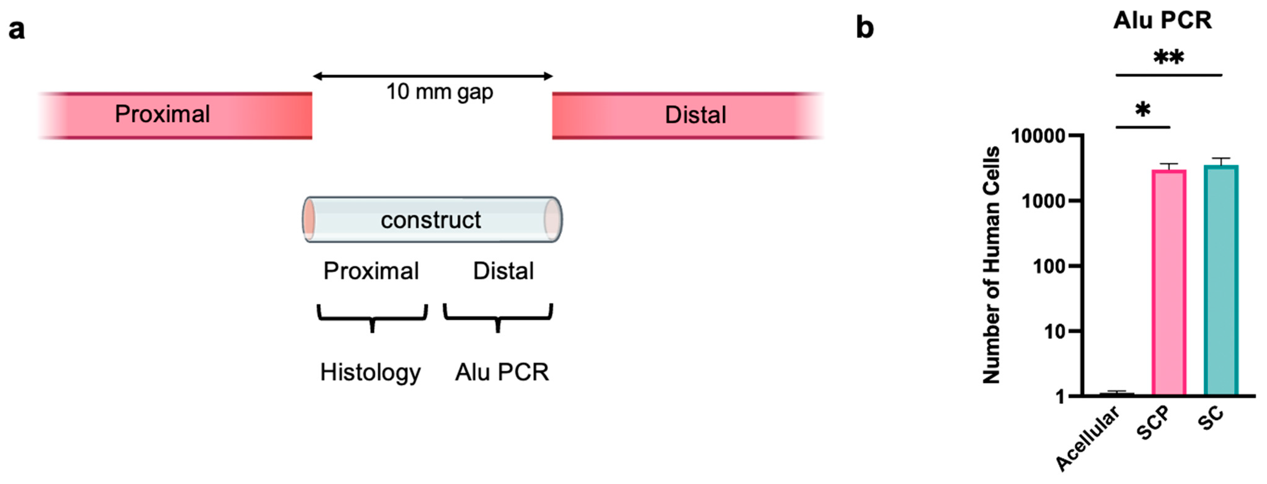 Bioengineering 12 00904 g005