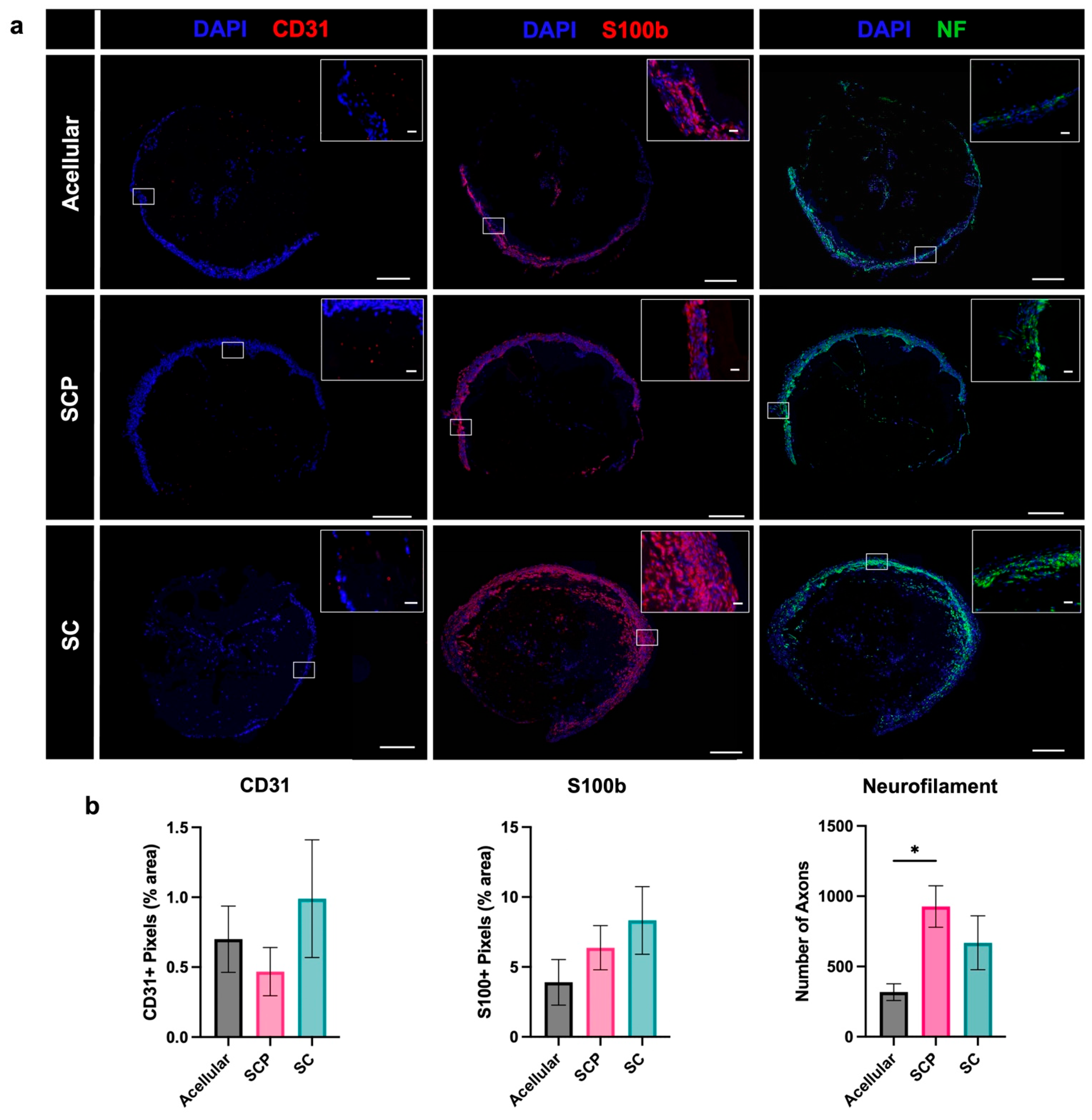 Bioengineering 12 00904 g006