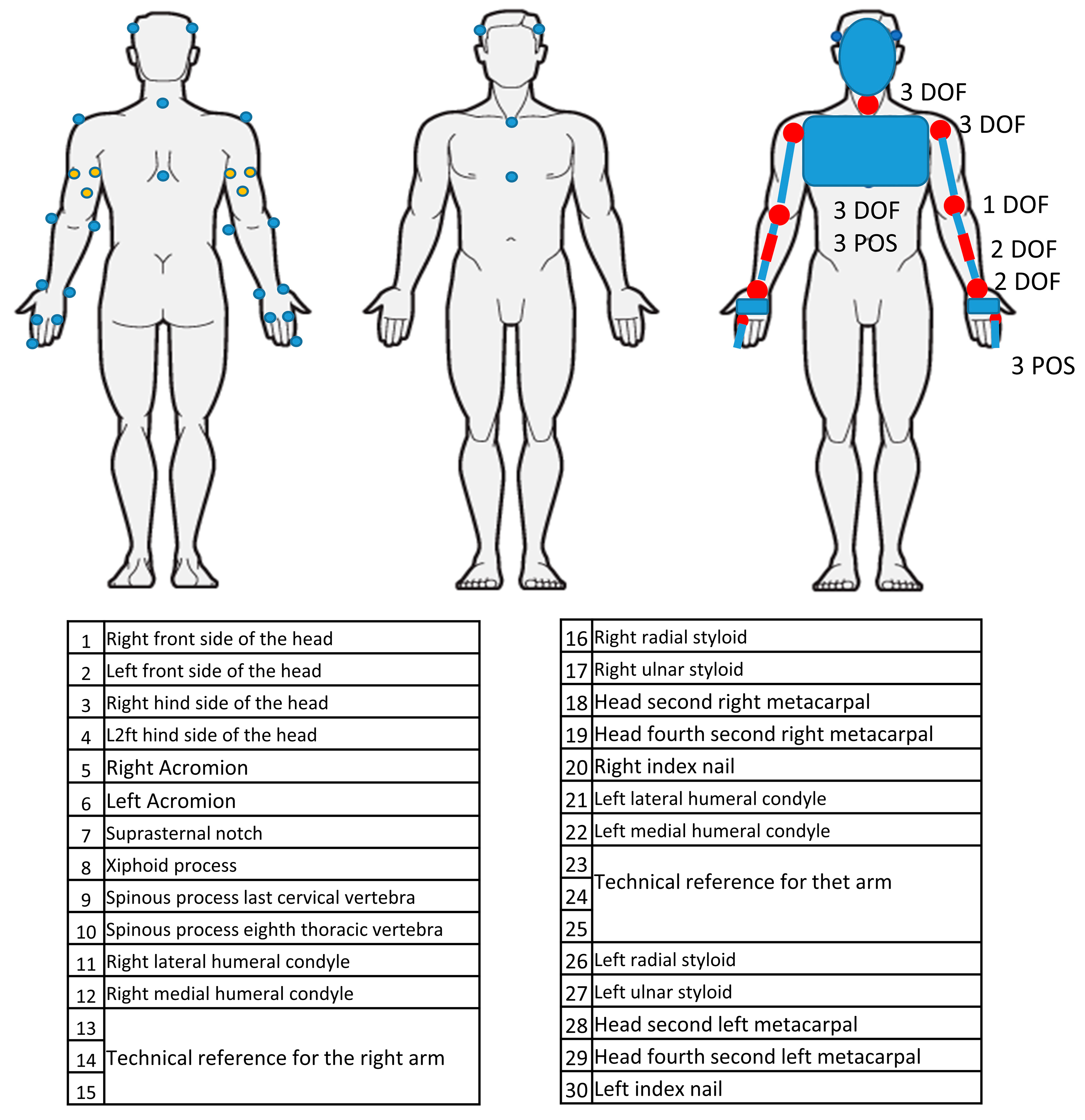 Bioengineering 12 00905 g001 Bioengineering 12 00905 g001