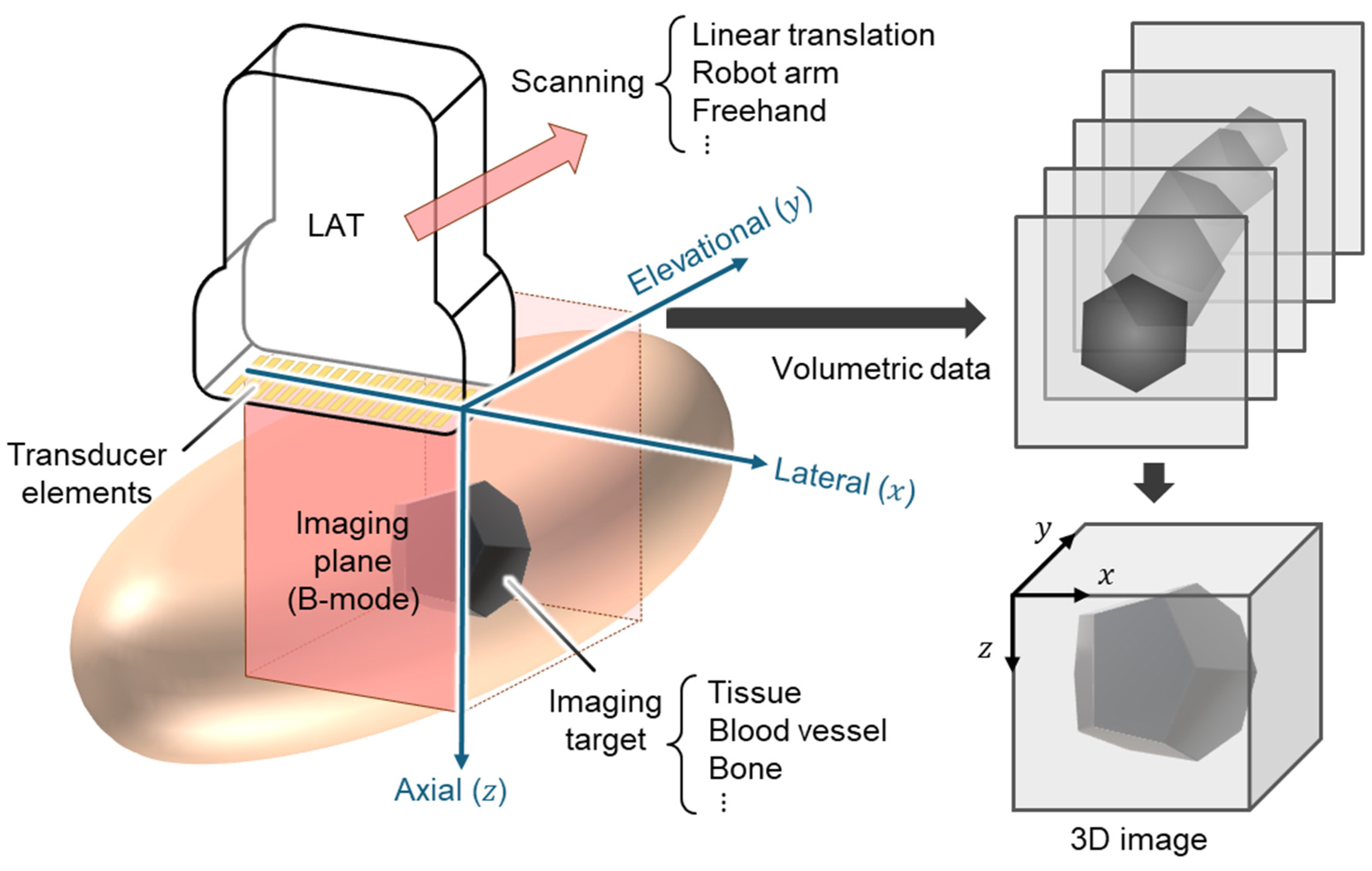 Bioengineering 12 00906 g001