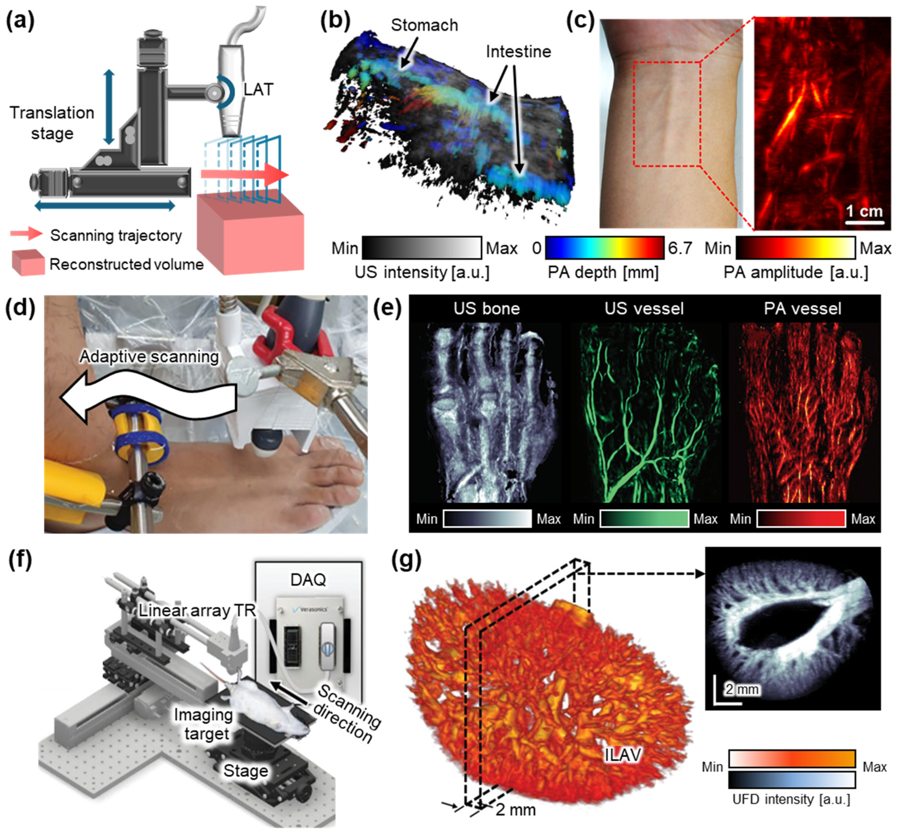 Bioengineering 12 00906 g002