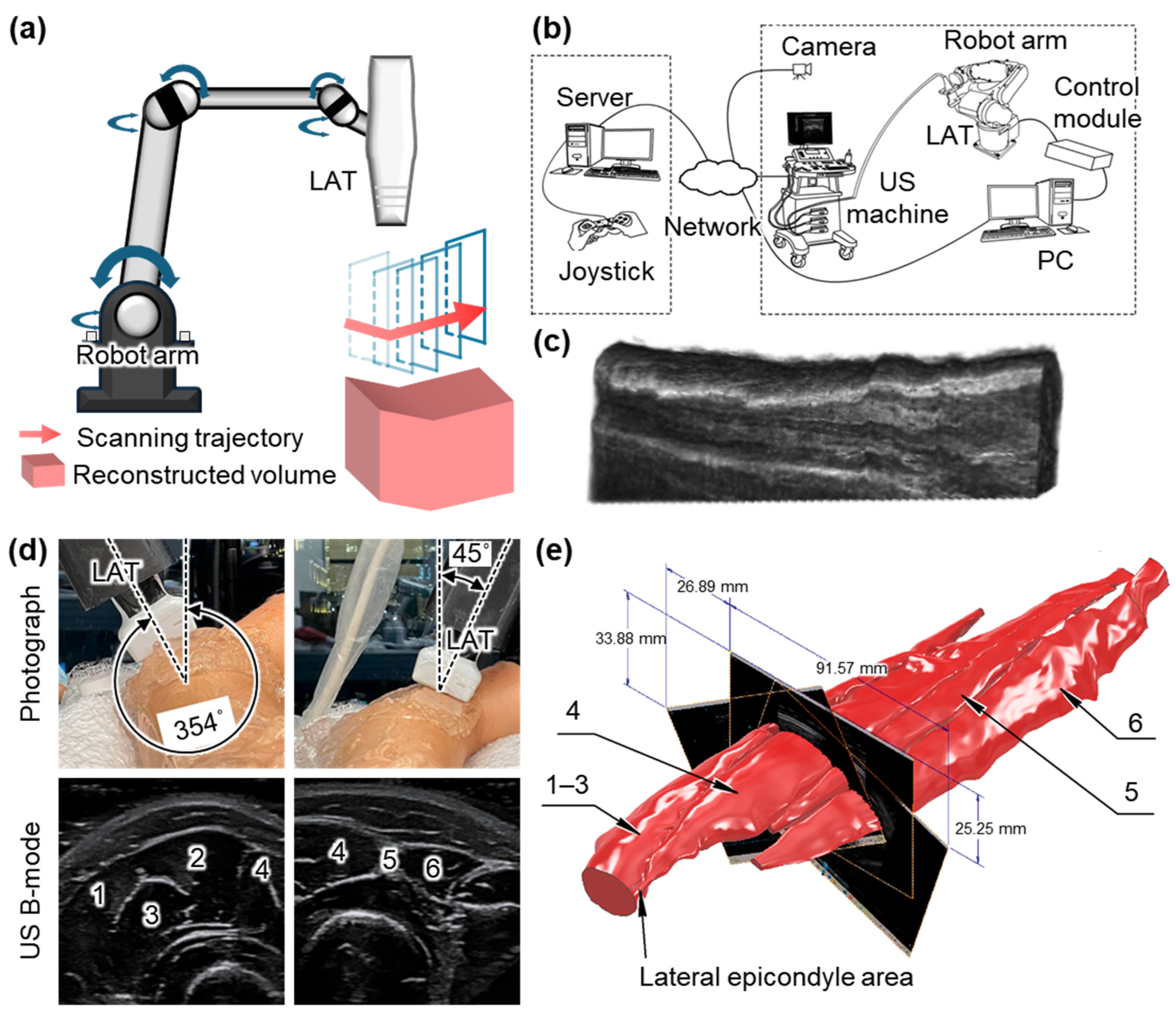 Bioengineering 12 00906 g004