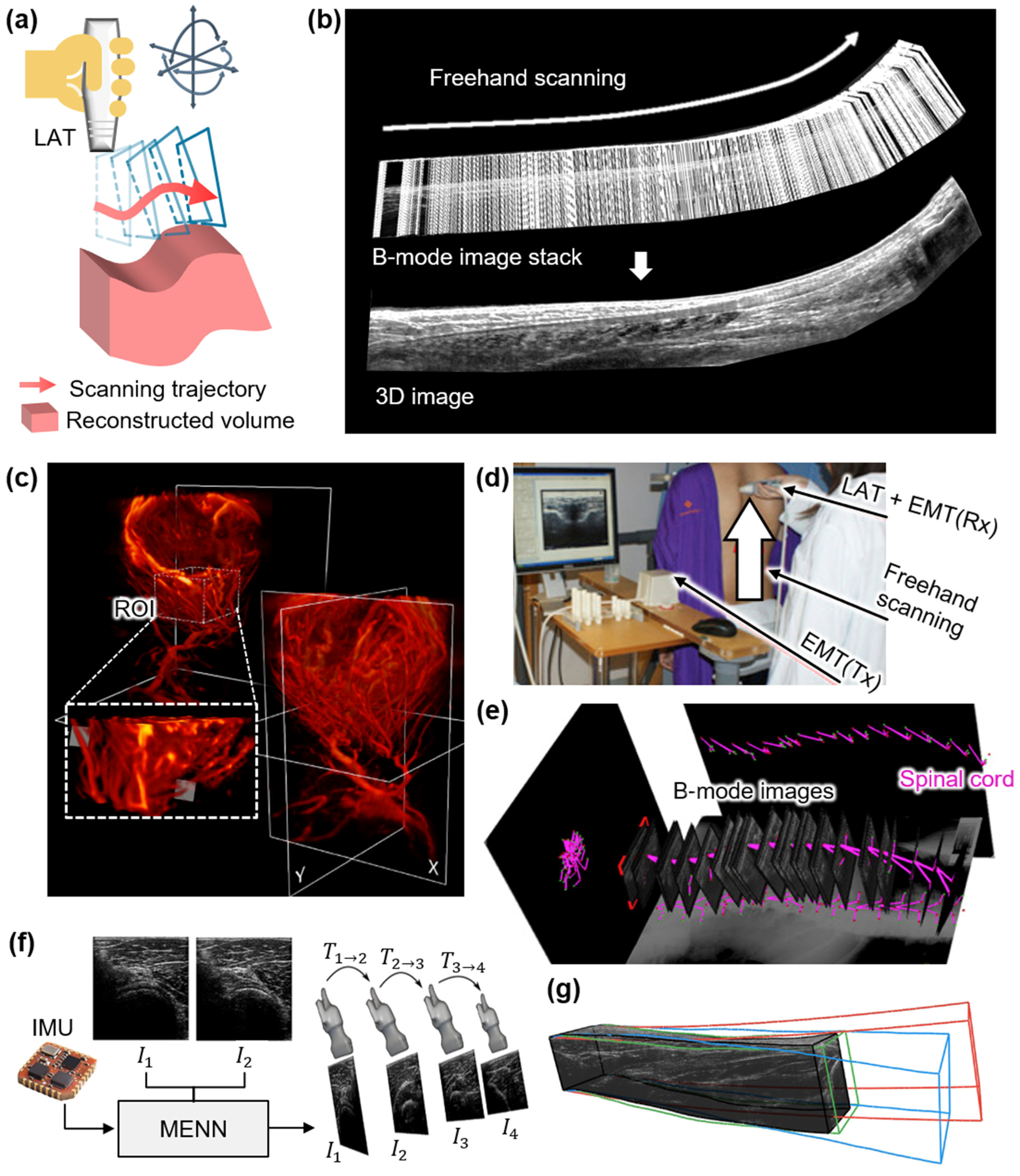 Bioengineering 12 00906 g005