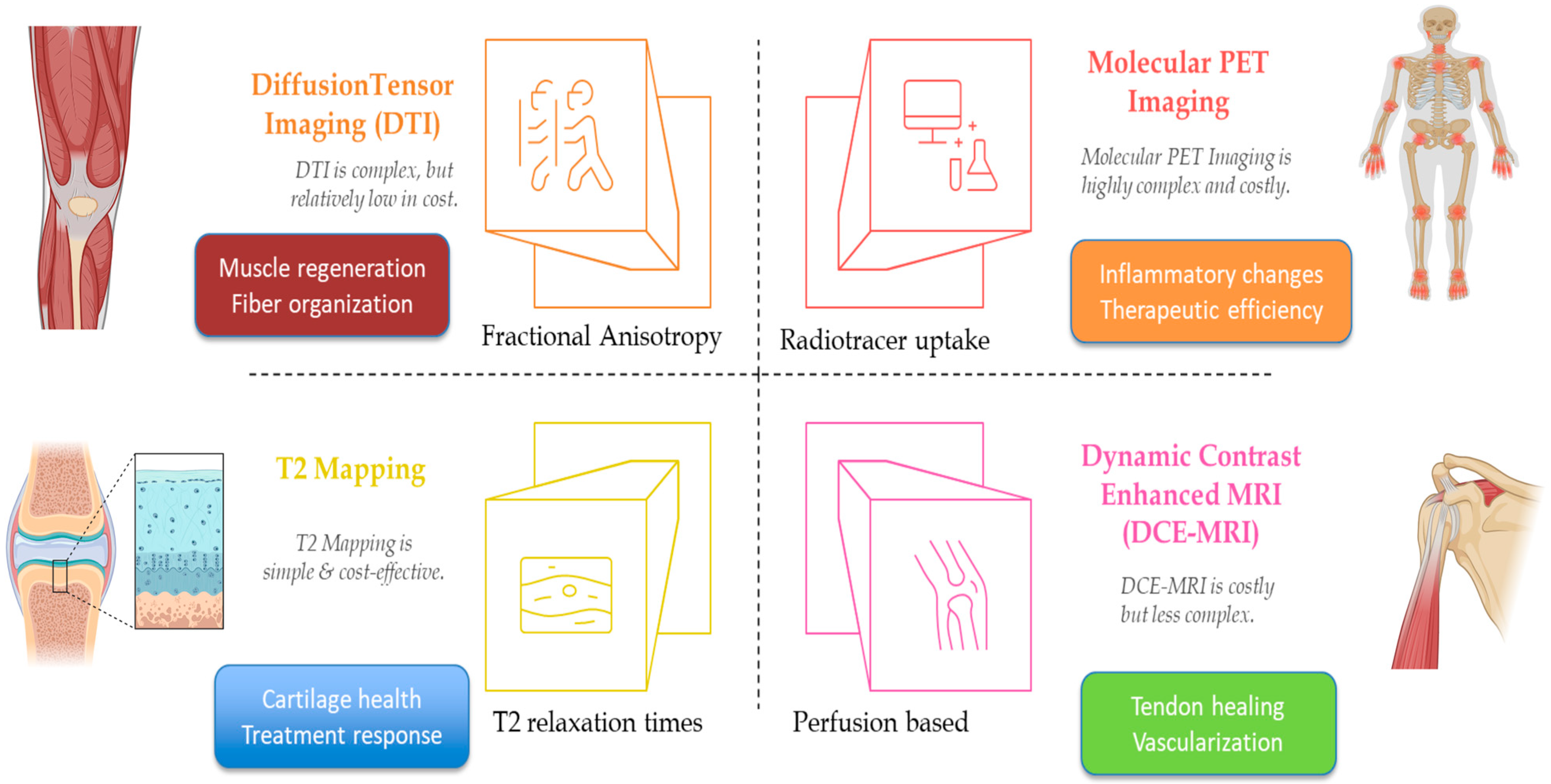 Bioengineering 12 00908 g002