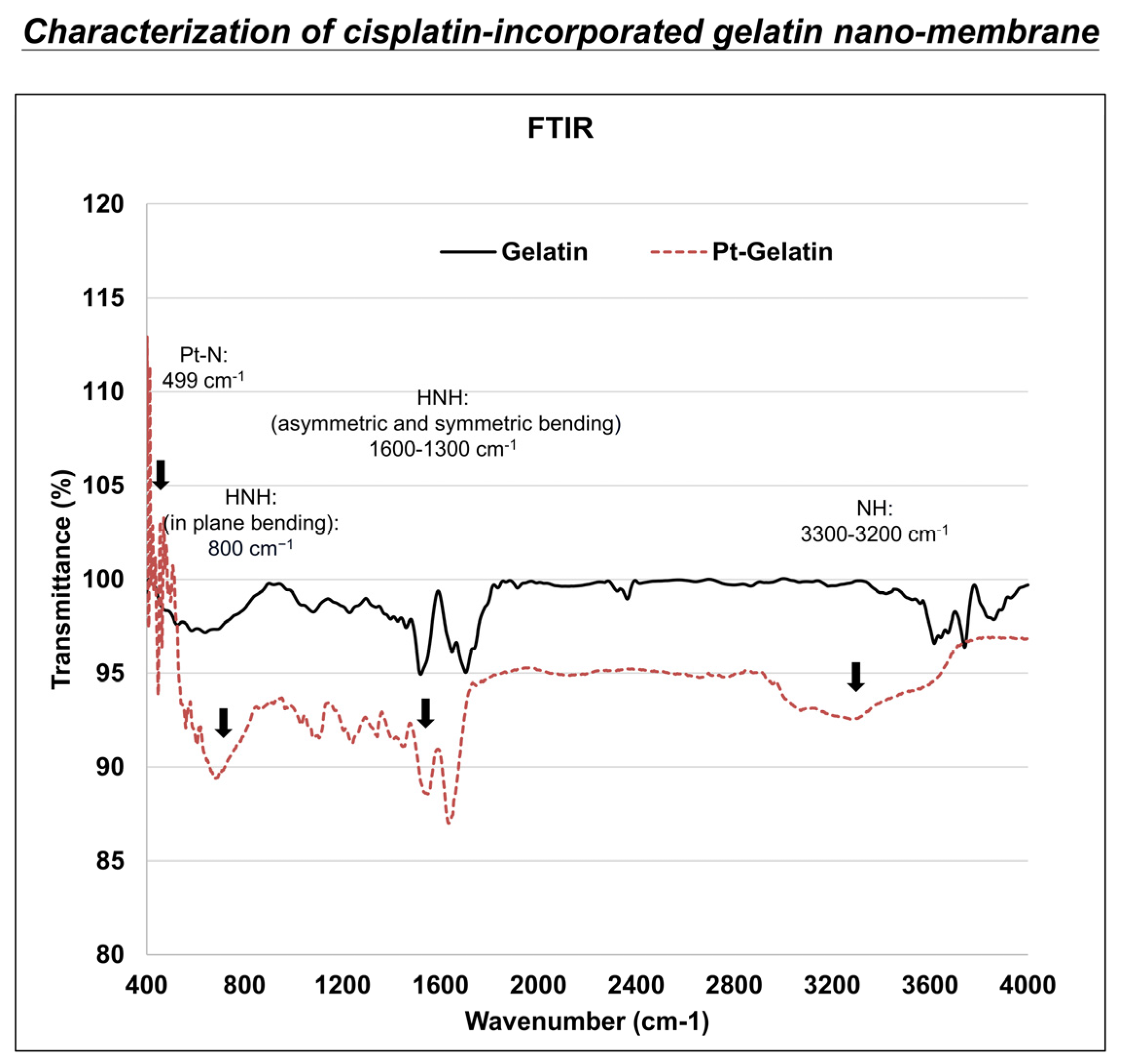 Bioengineering 12 00910 g003