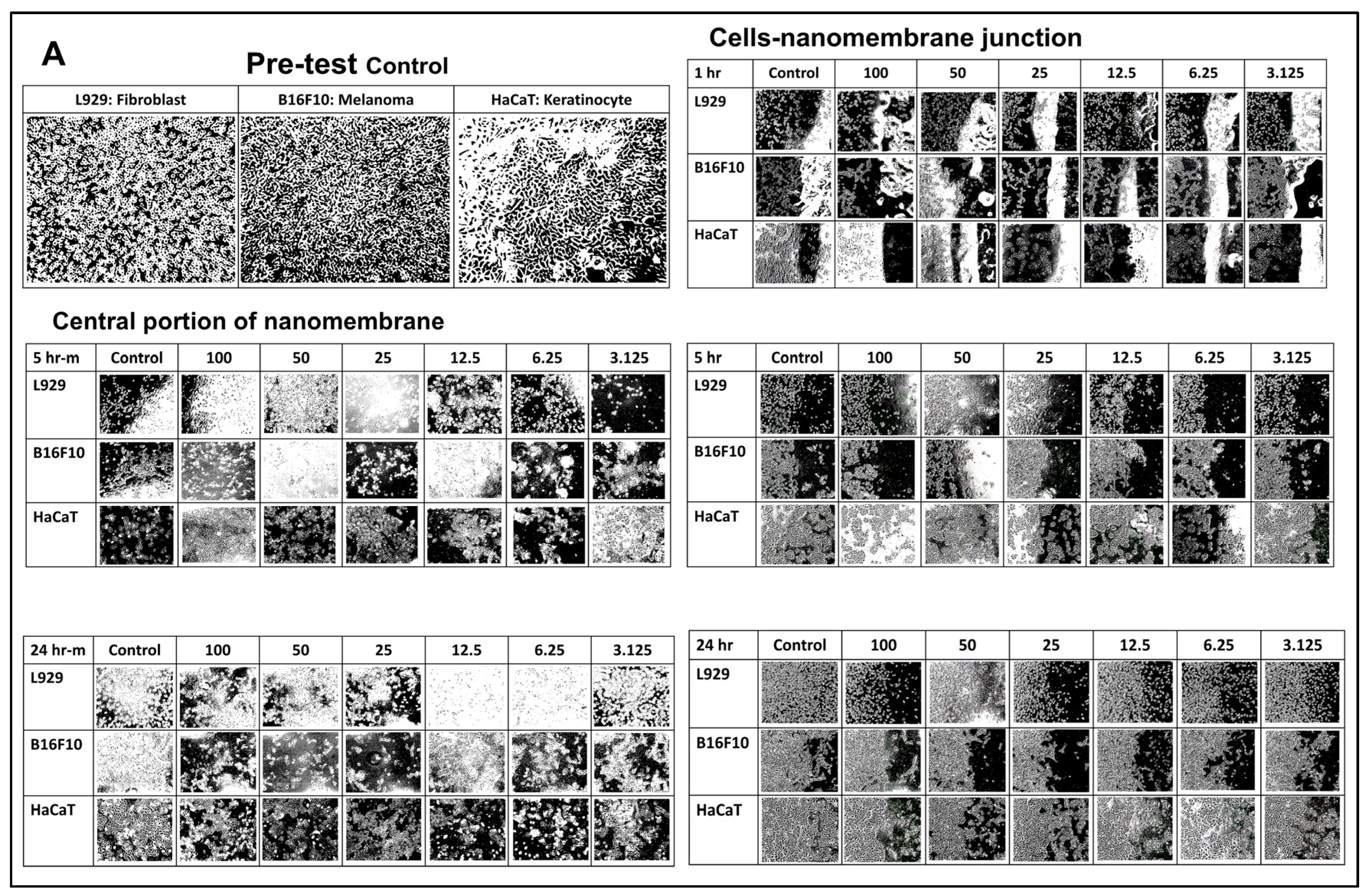 Bioengineering 12 00910 g005a
