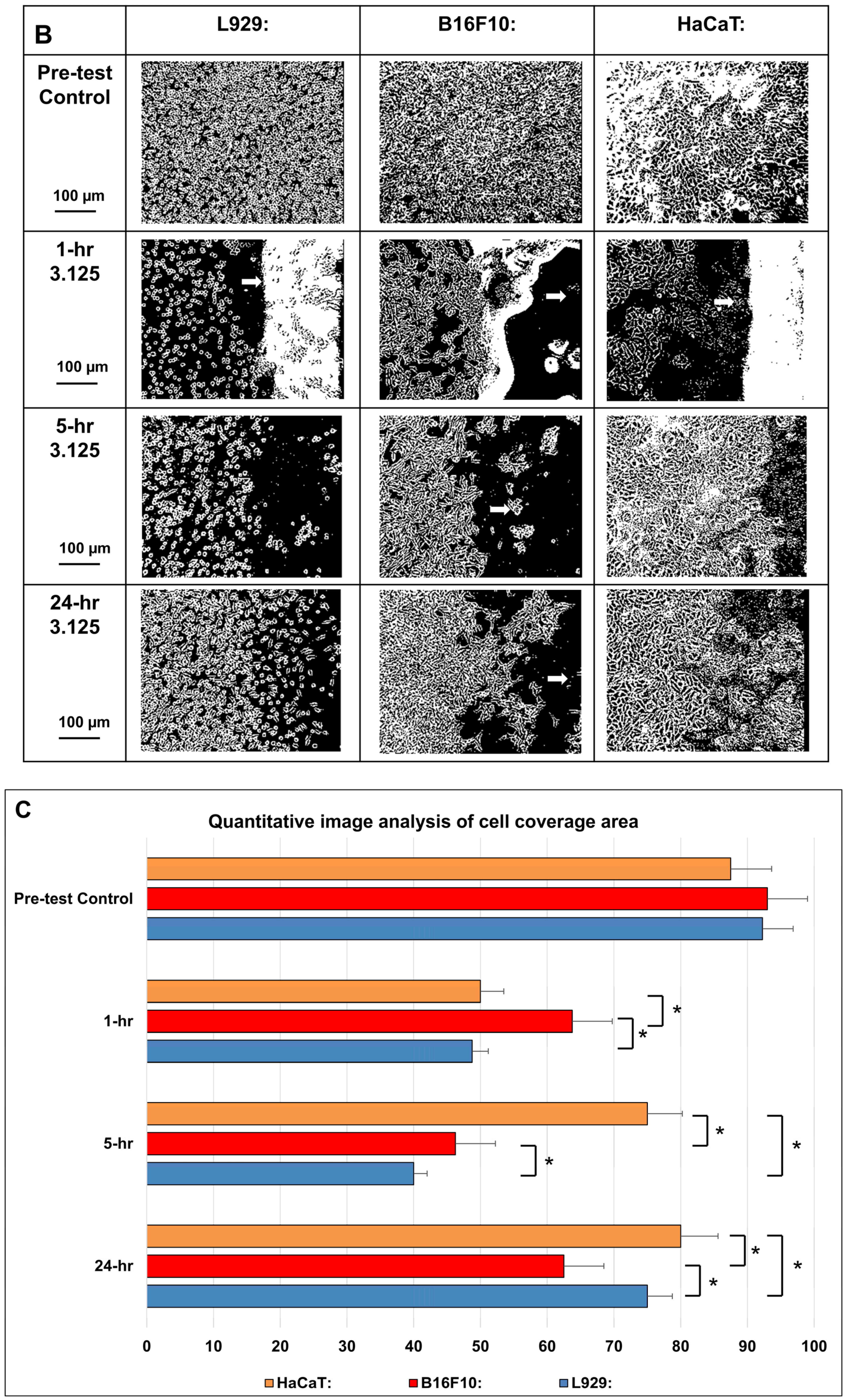 Bioengineering 12 00910 g005b