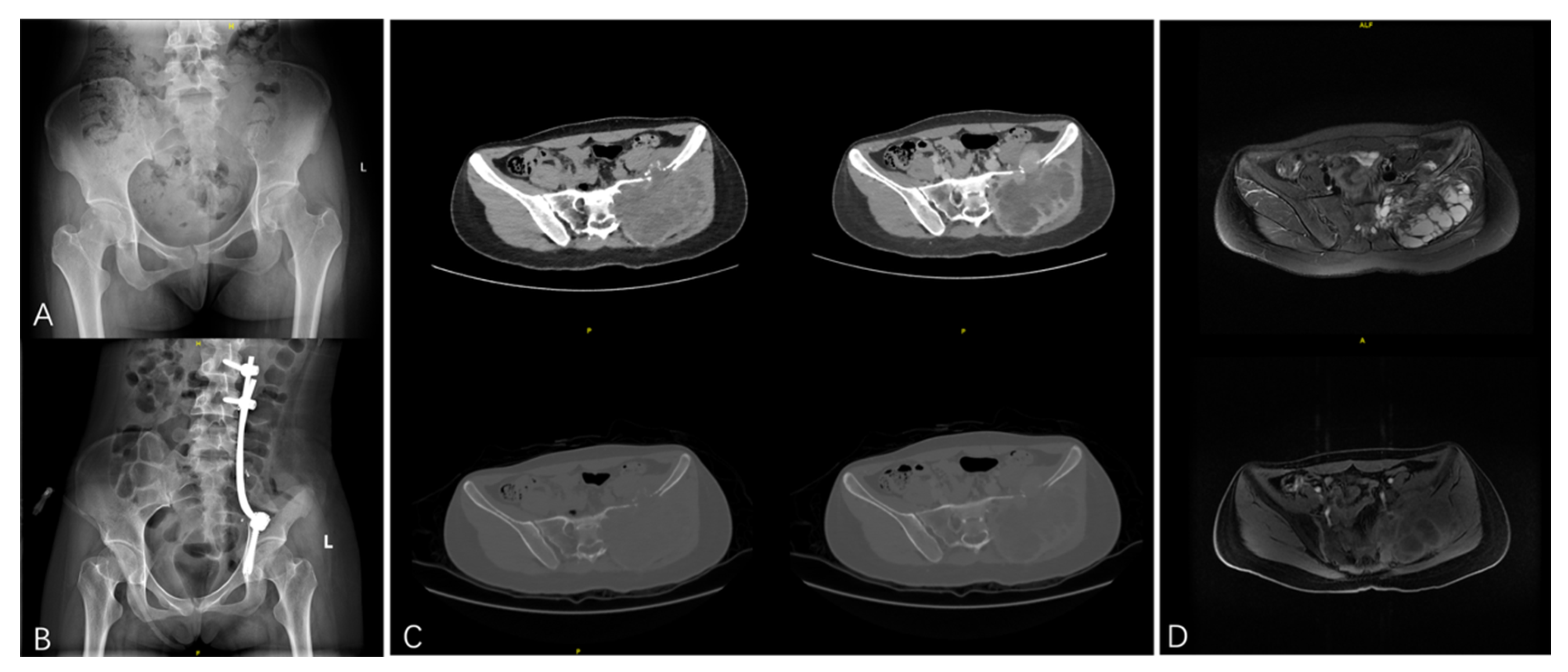 Bioengineering 12 00911 g001