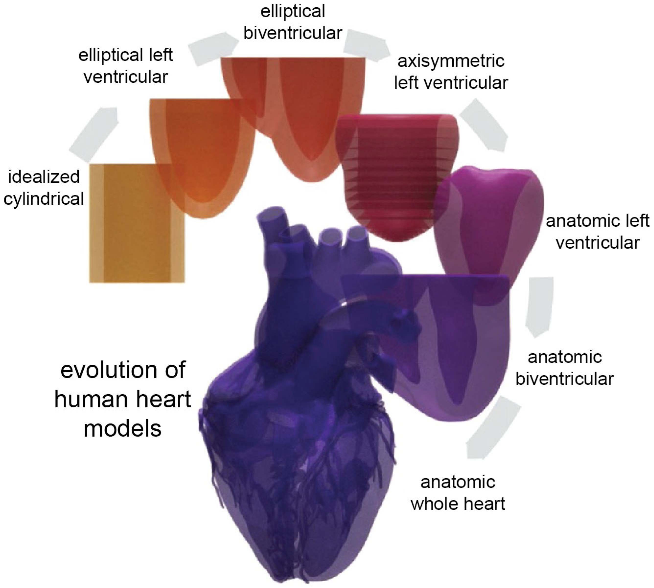 Bioengineering 12 00913 g001