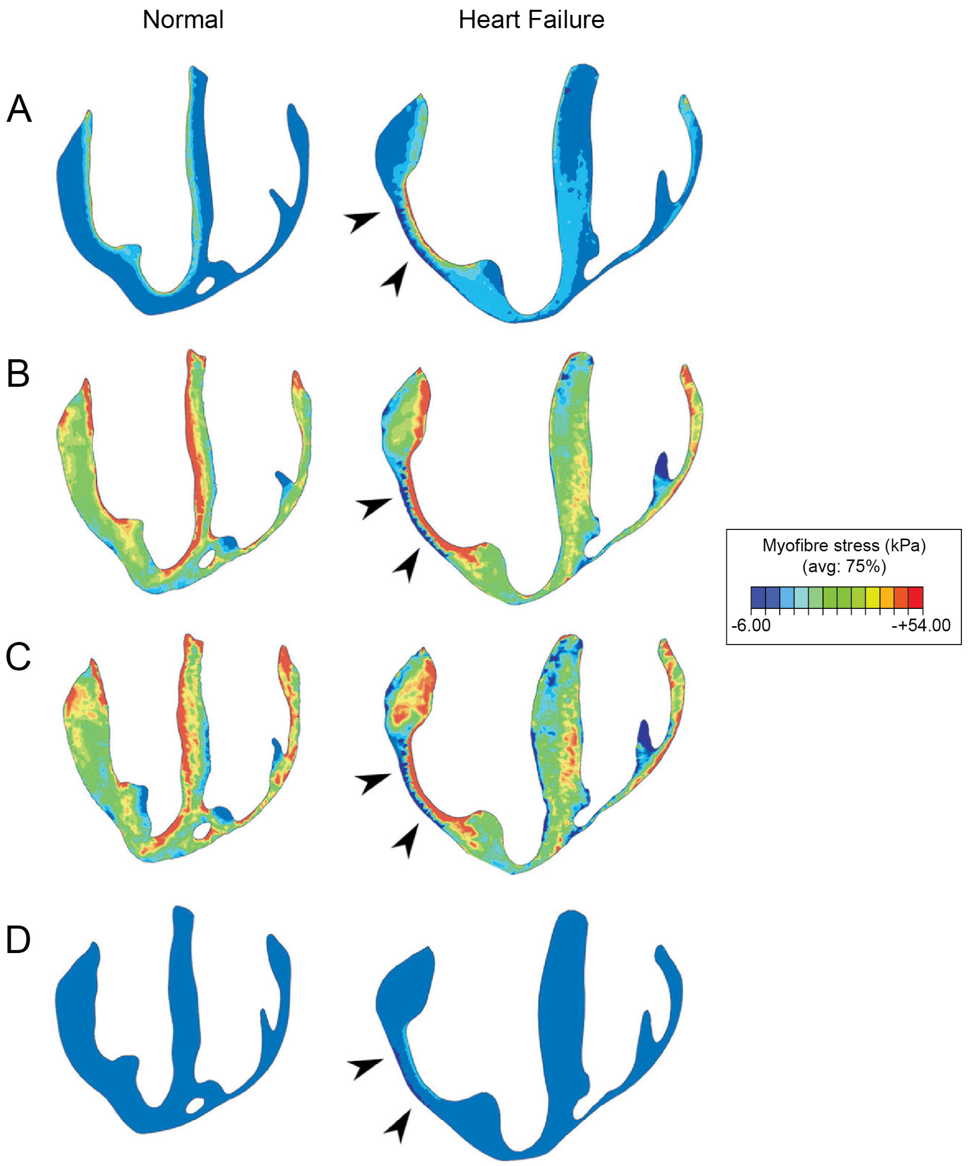Bioengineering 12 00913 g006