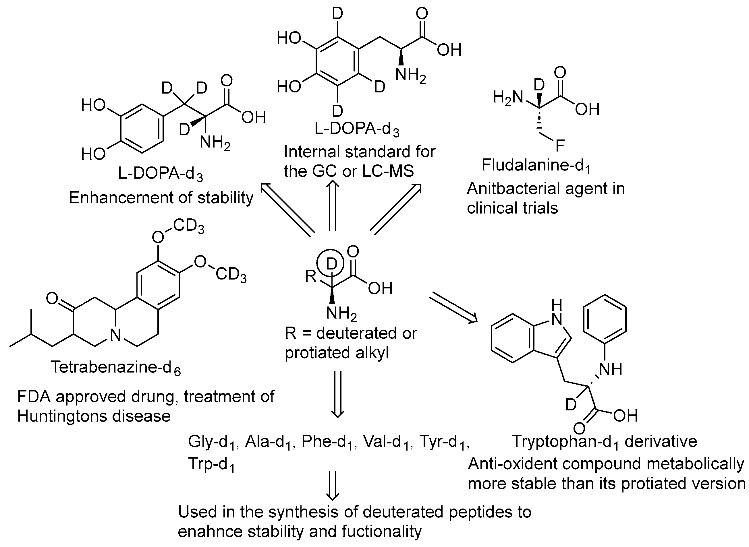 Bioengineering 12 00916 g001