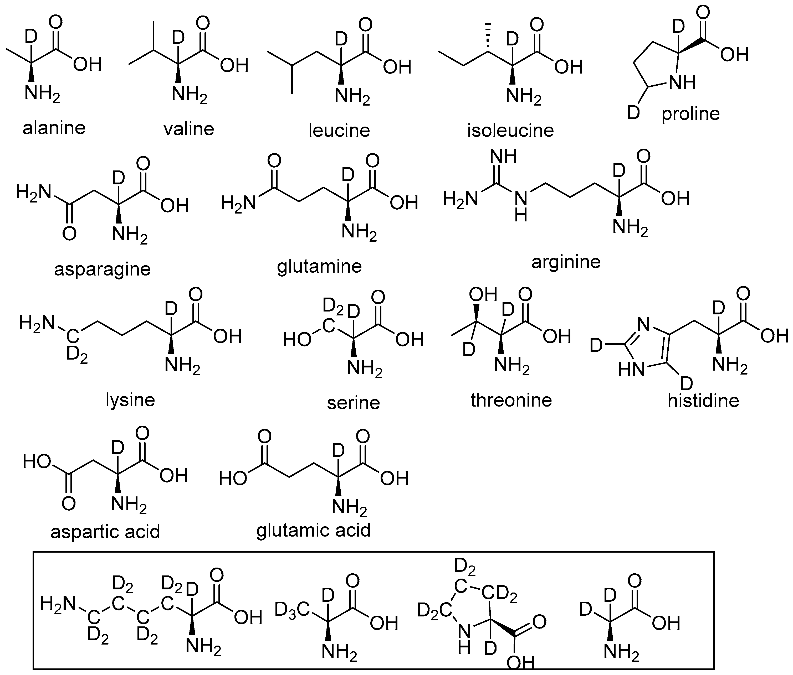 Bioengineering 12 00916 g002