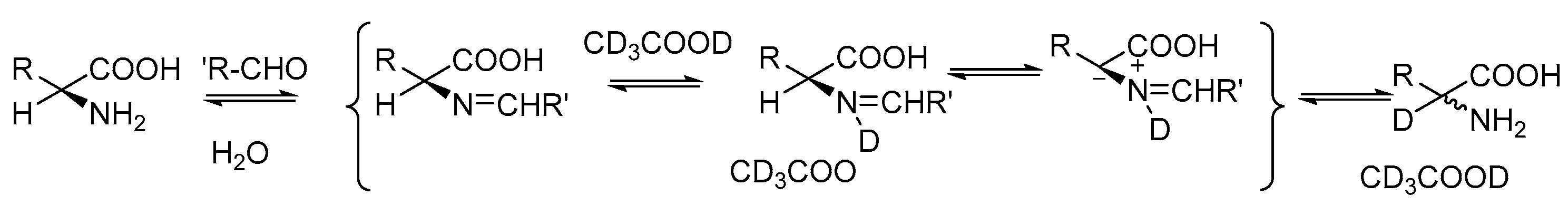 Bioengineering 12 00916 sch004