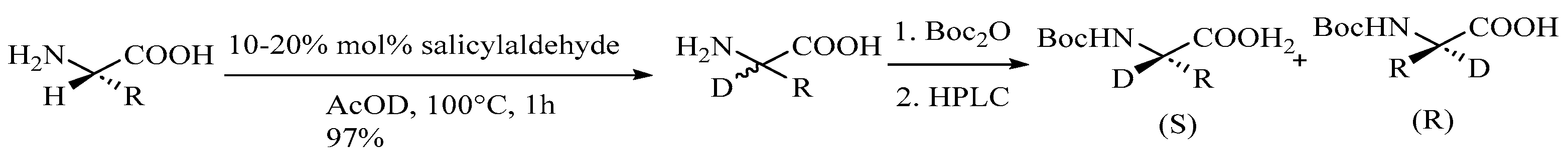 Bioengineering 12 00916 sch005