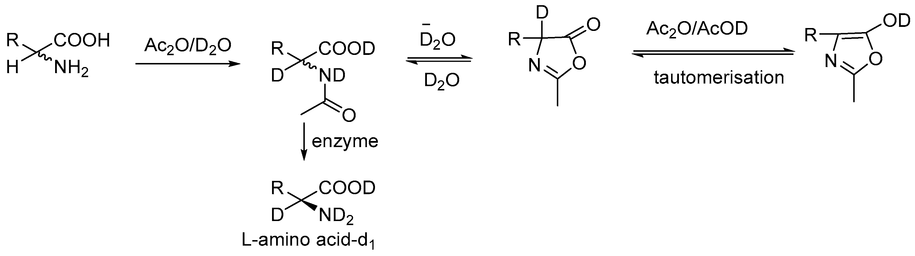 Bioengineering 12 00916 sch006