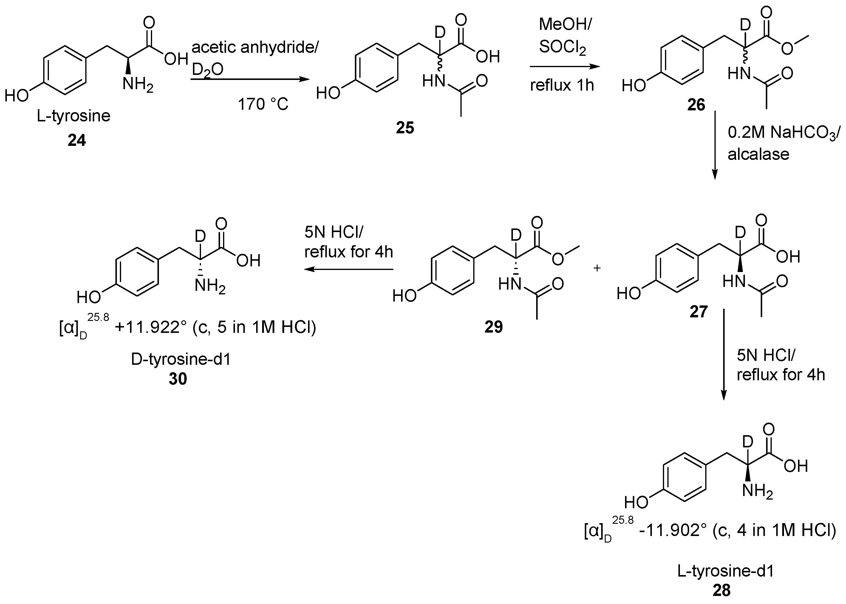 Bioengineering 12 00916 sch008