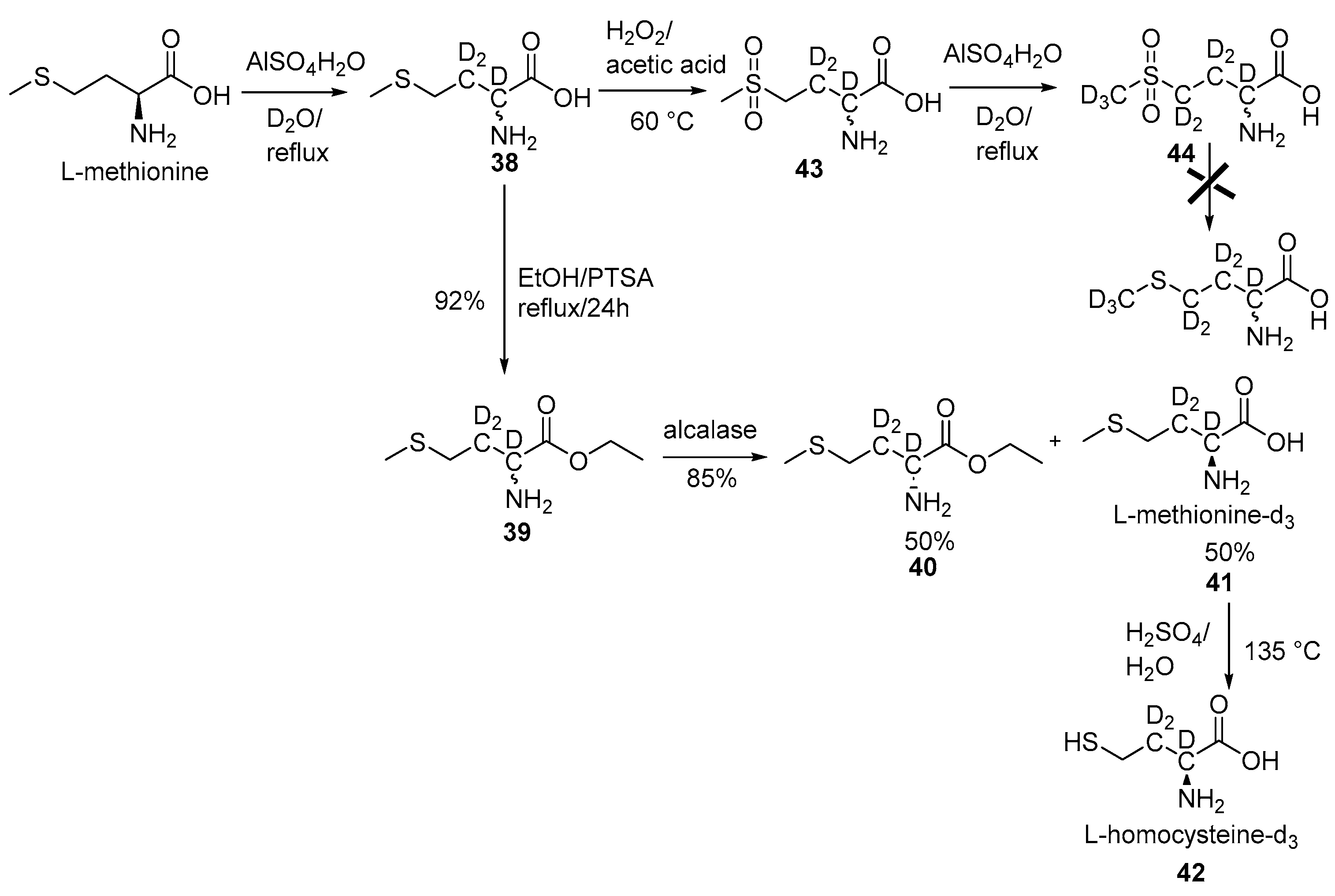 Bioengineering 12 00916 sch011