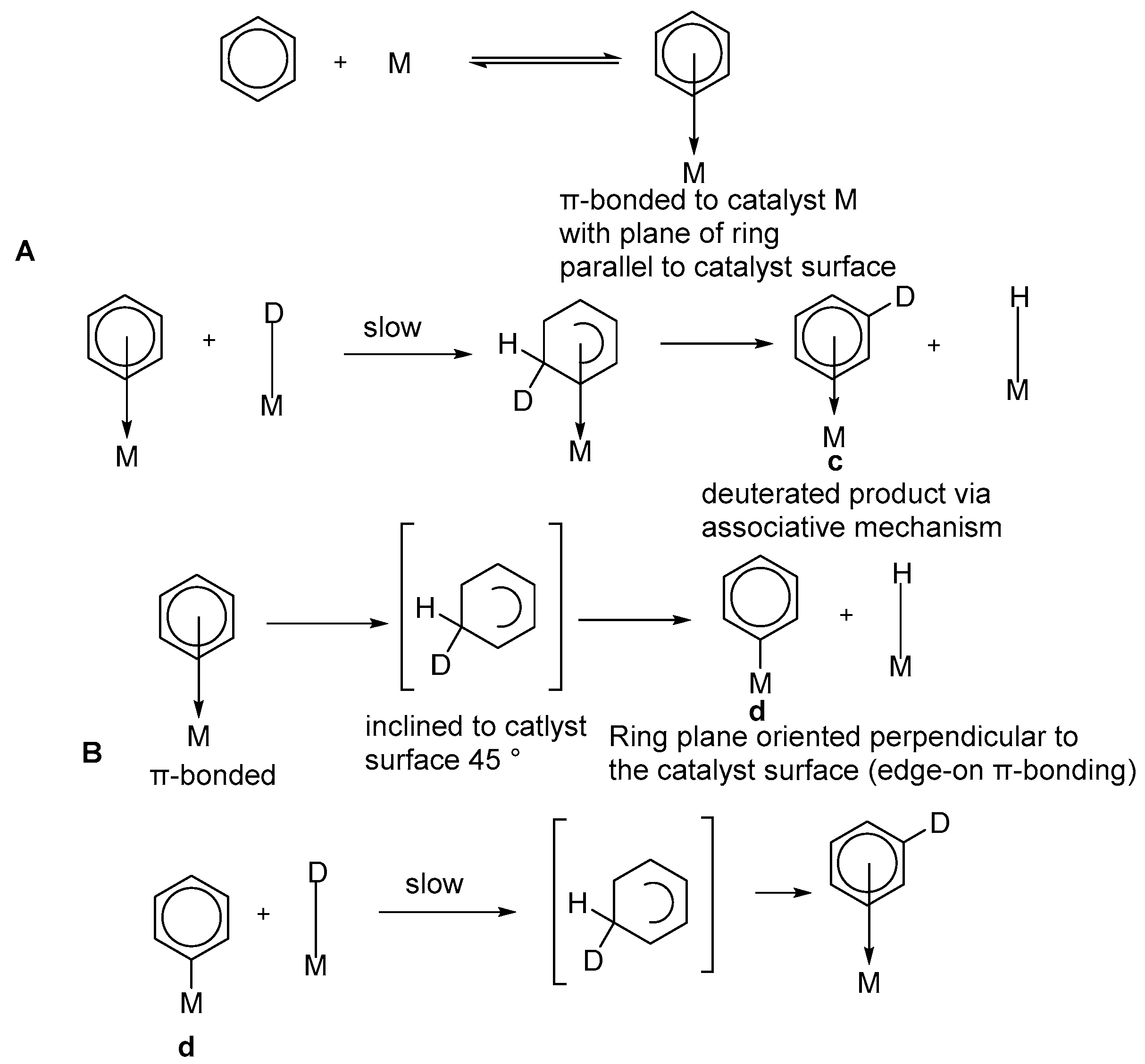 Bioengineering 12 00916 sch015