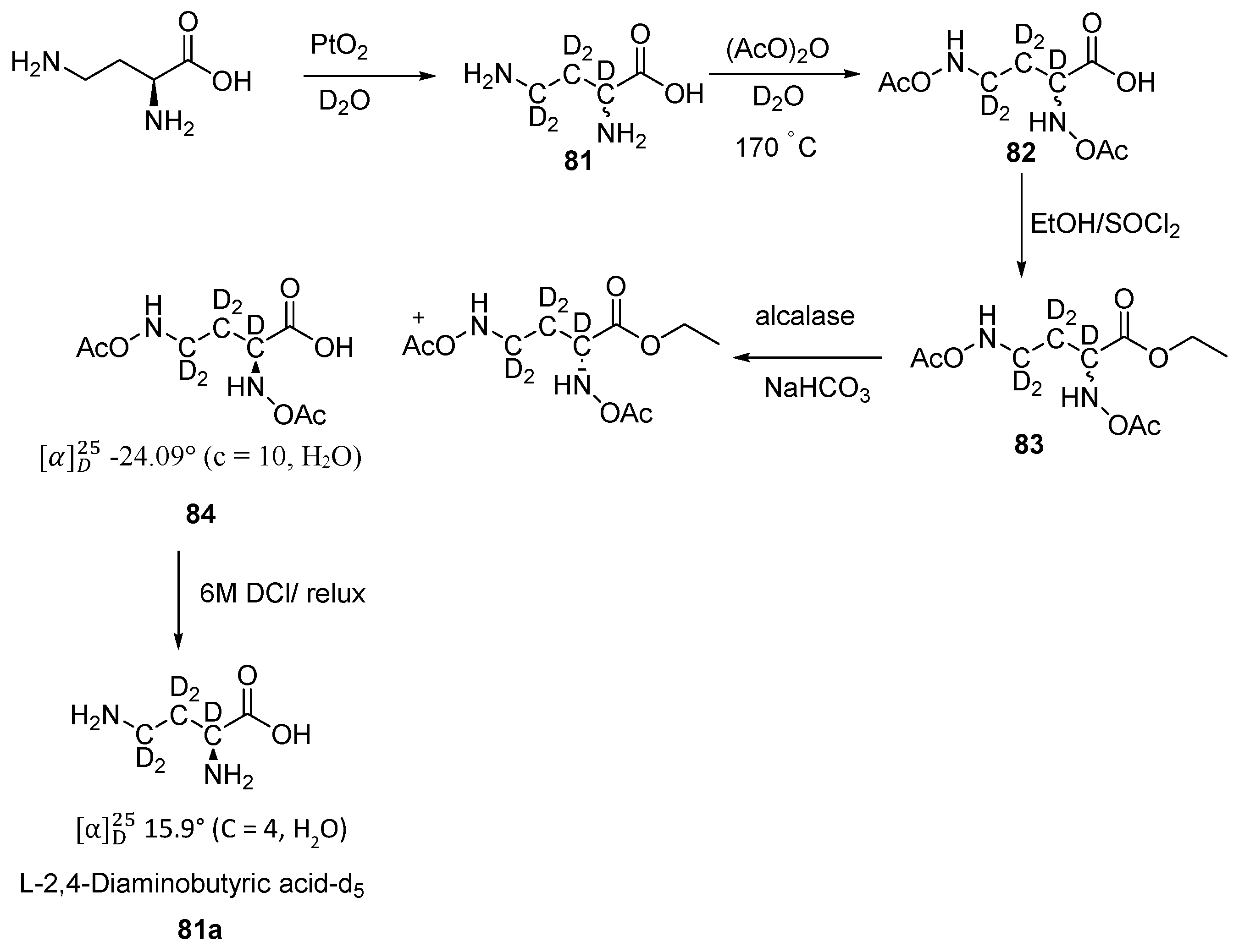 Bioengineering 12 00916 sch027
