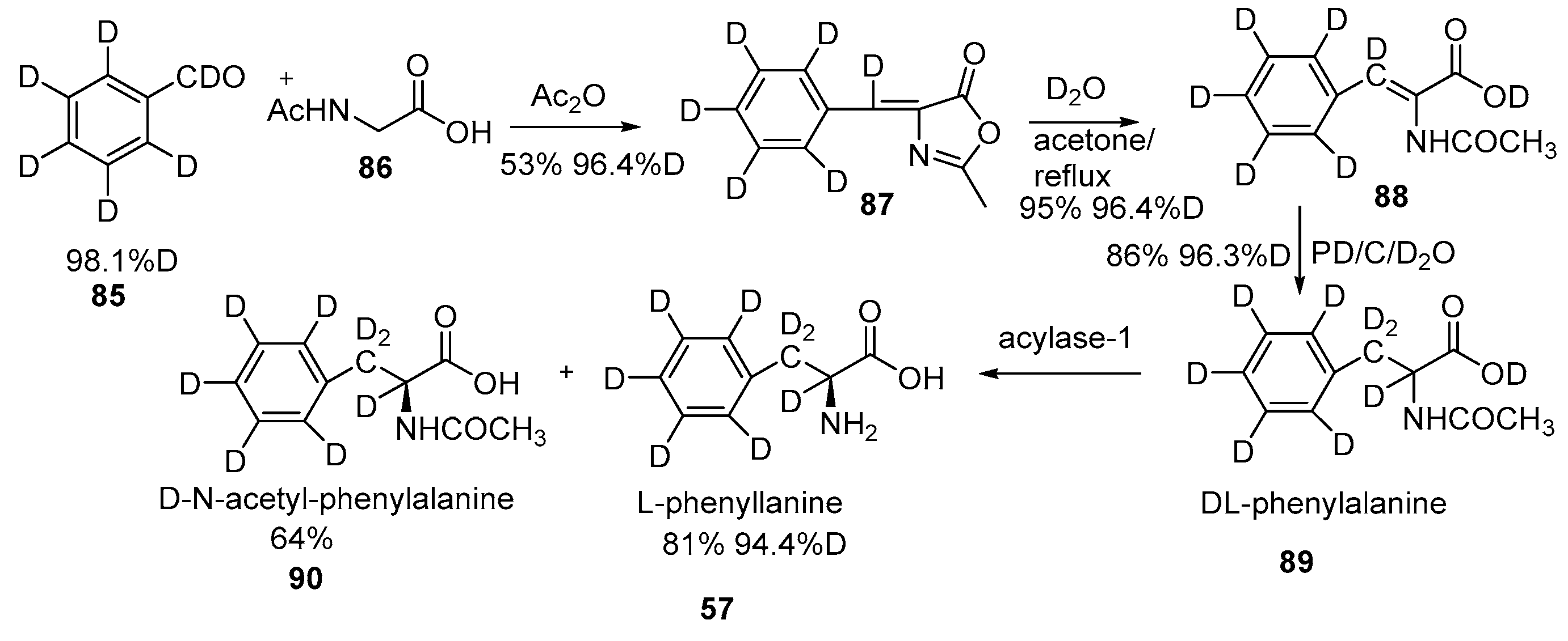 Bioengineering 12 00916 sch028
