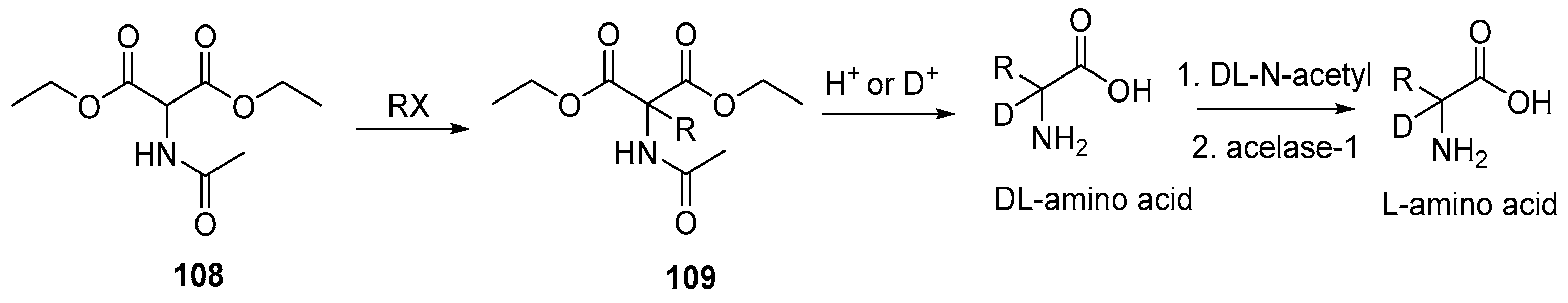 Bioengineering 12 00916 sch030