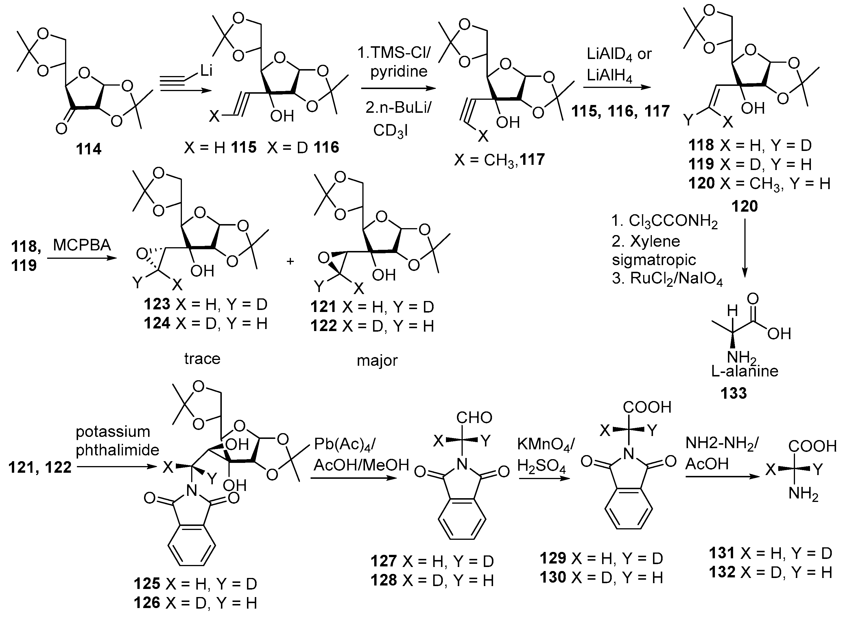 Bioengineering 12 00916 sch033