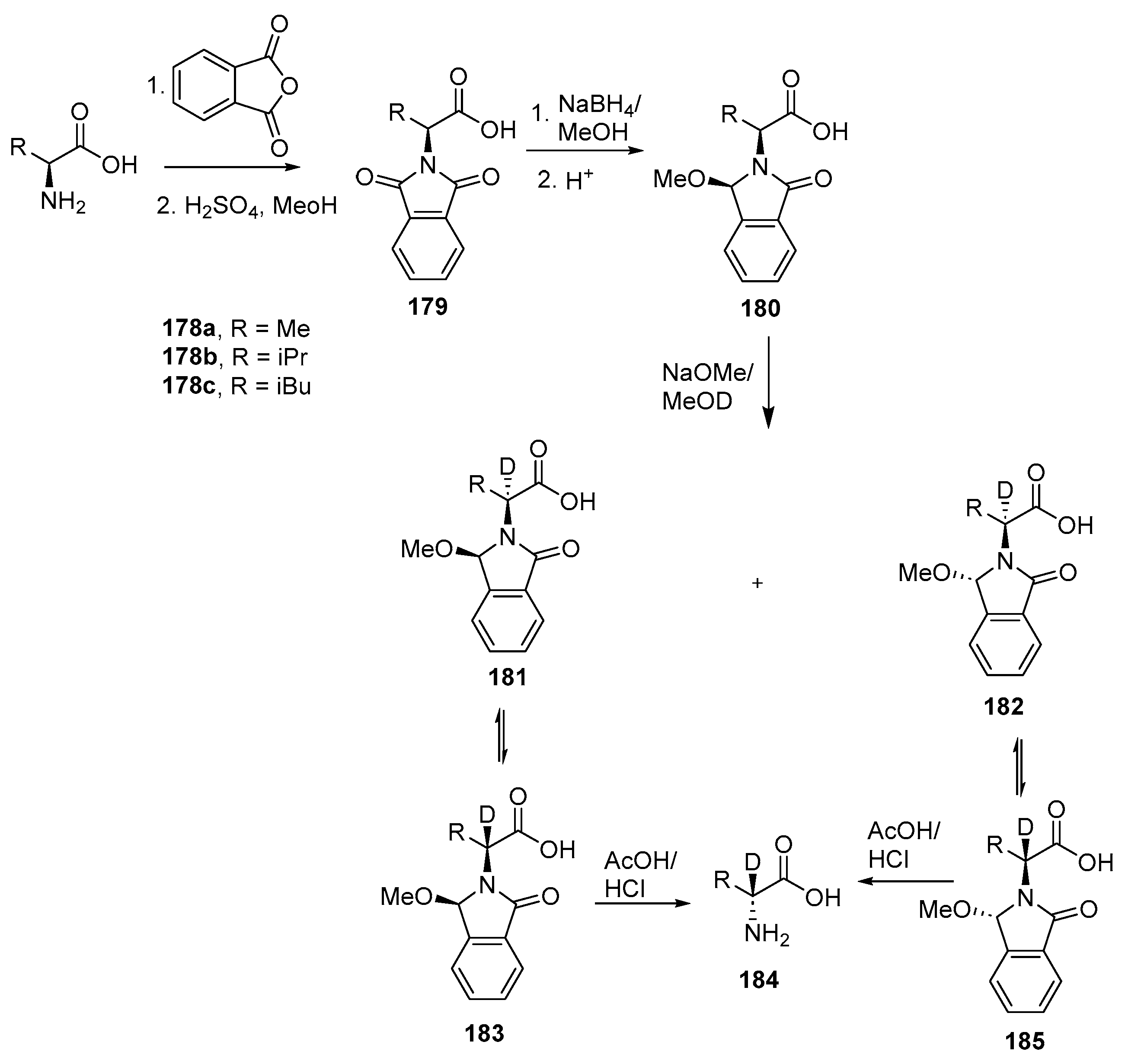 Bioengineering 12 00916 sch039